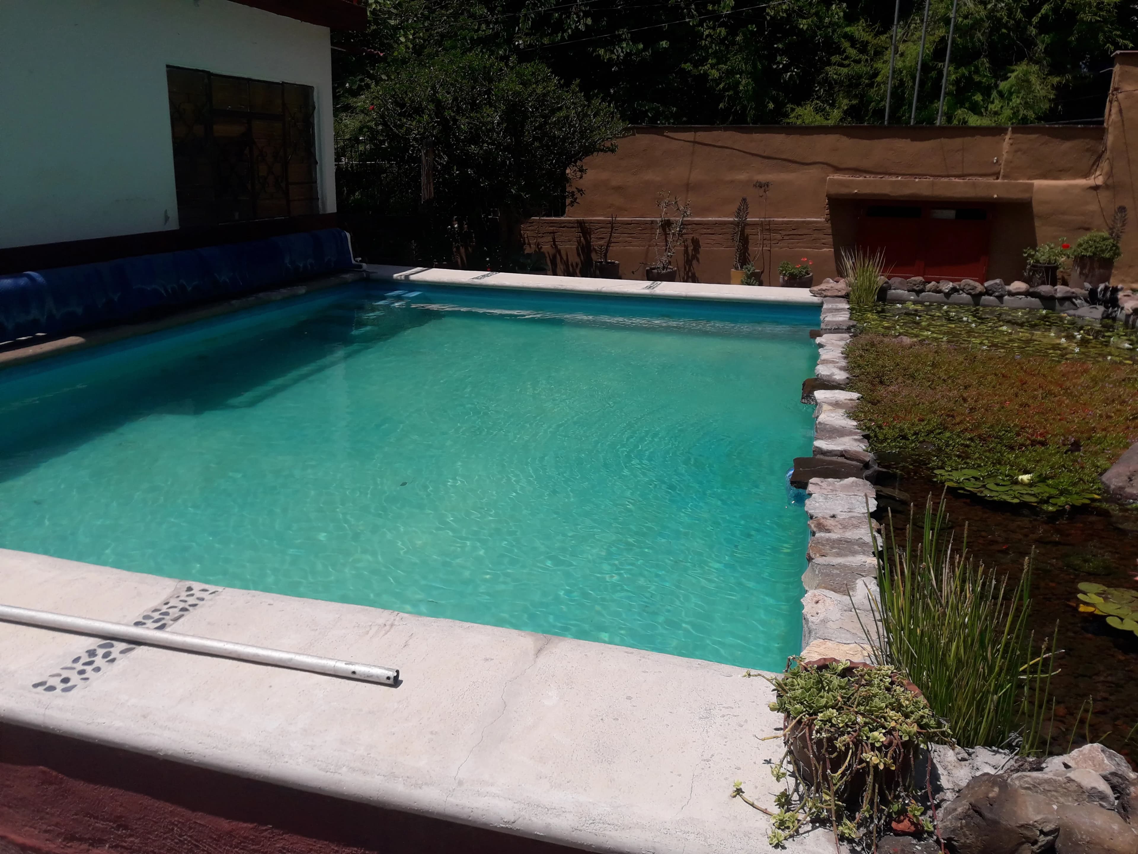 Biopiscina con cascada natural - 2