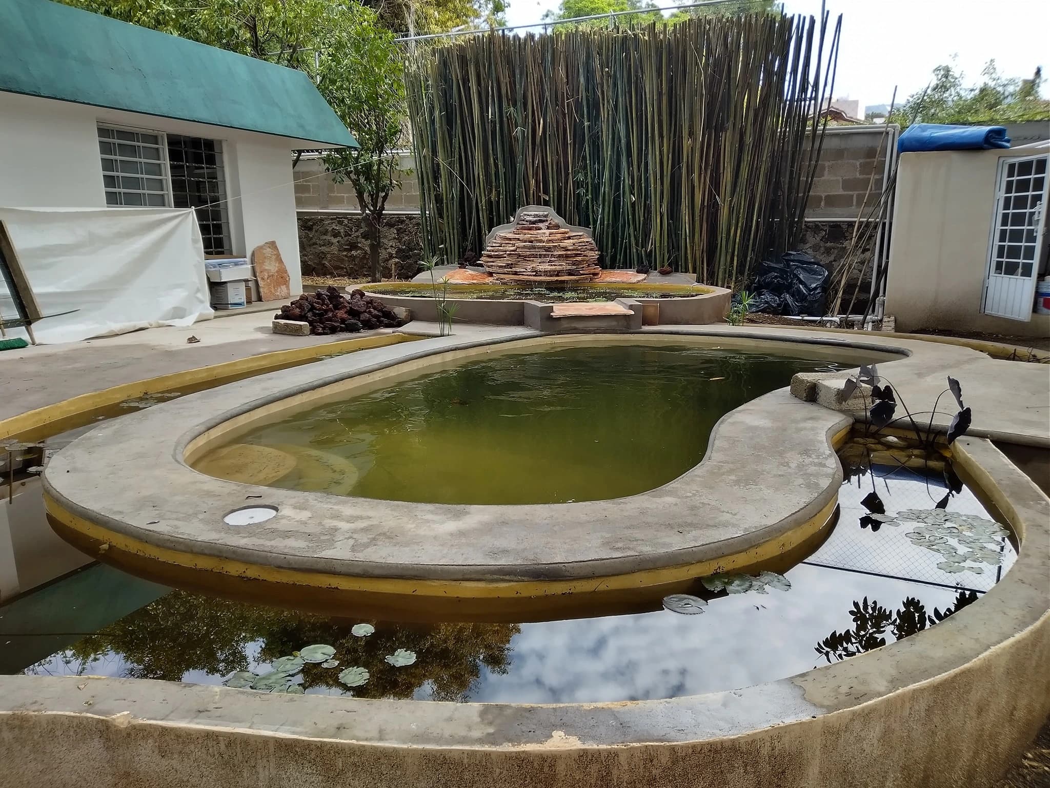 Biopiscina rectangular con playa - 17