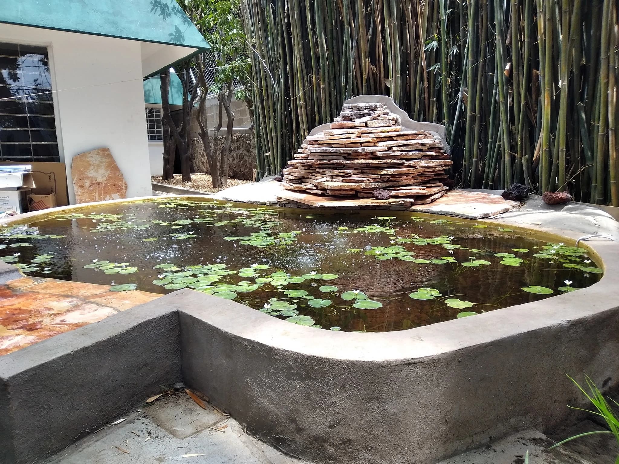 Biopiscina rectangular con playa - 23