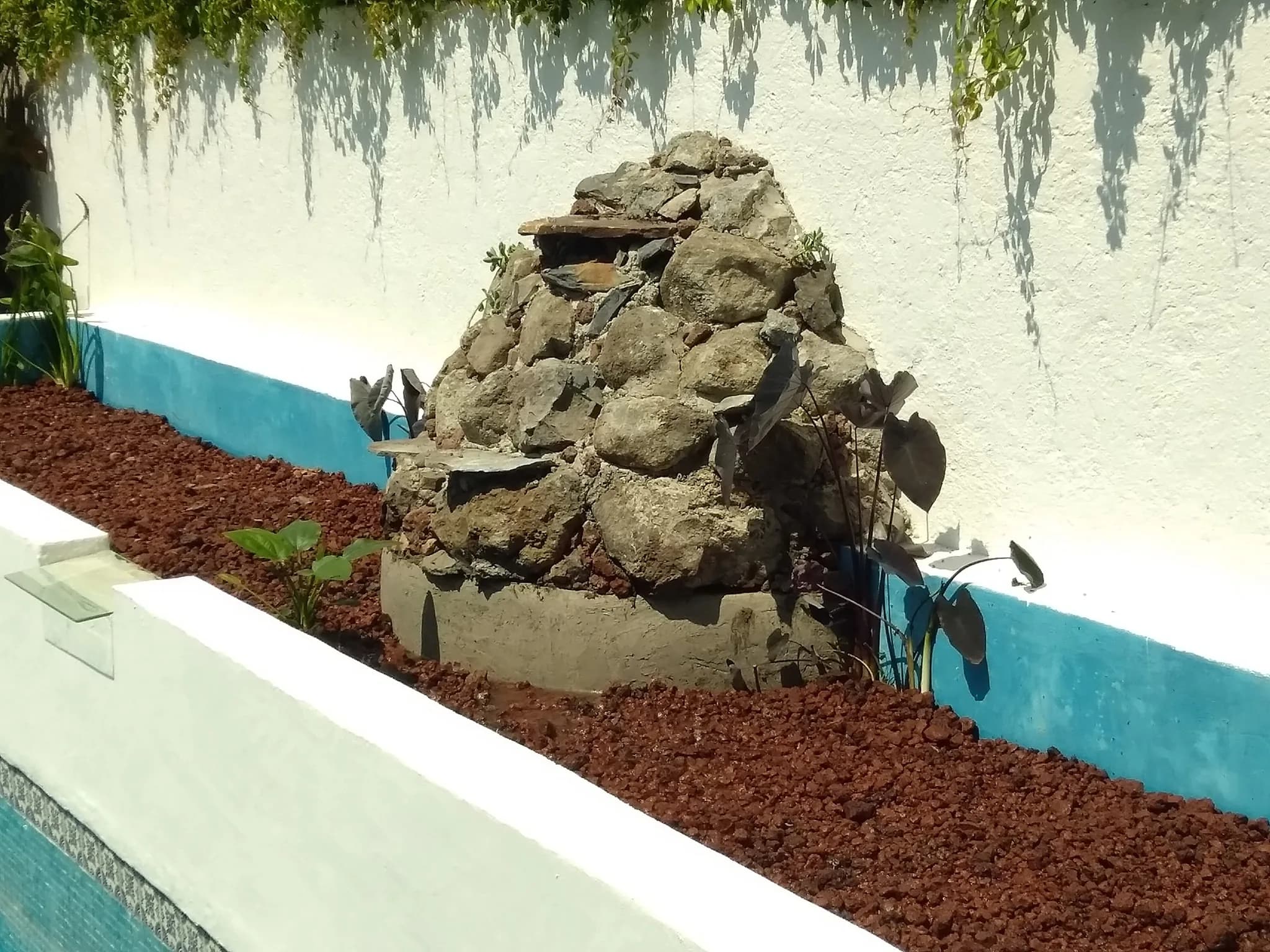 Biopiscina tropical - 2