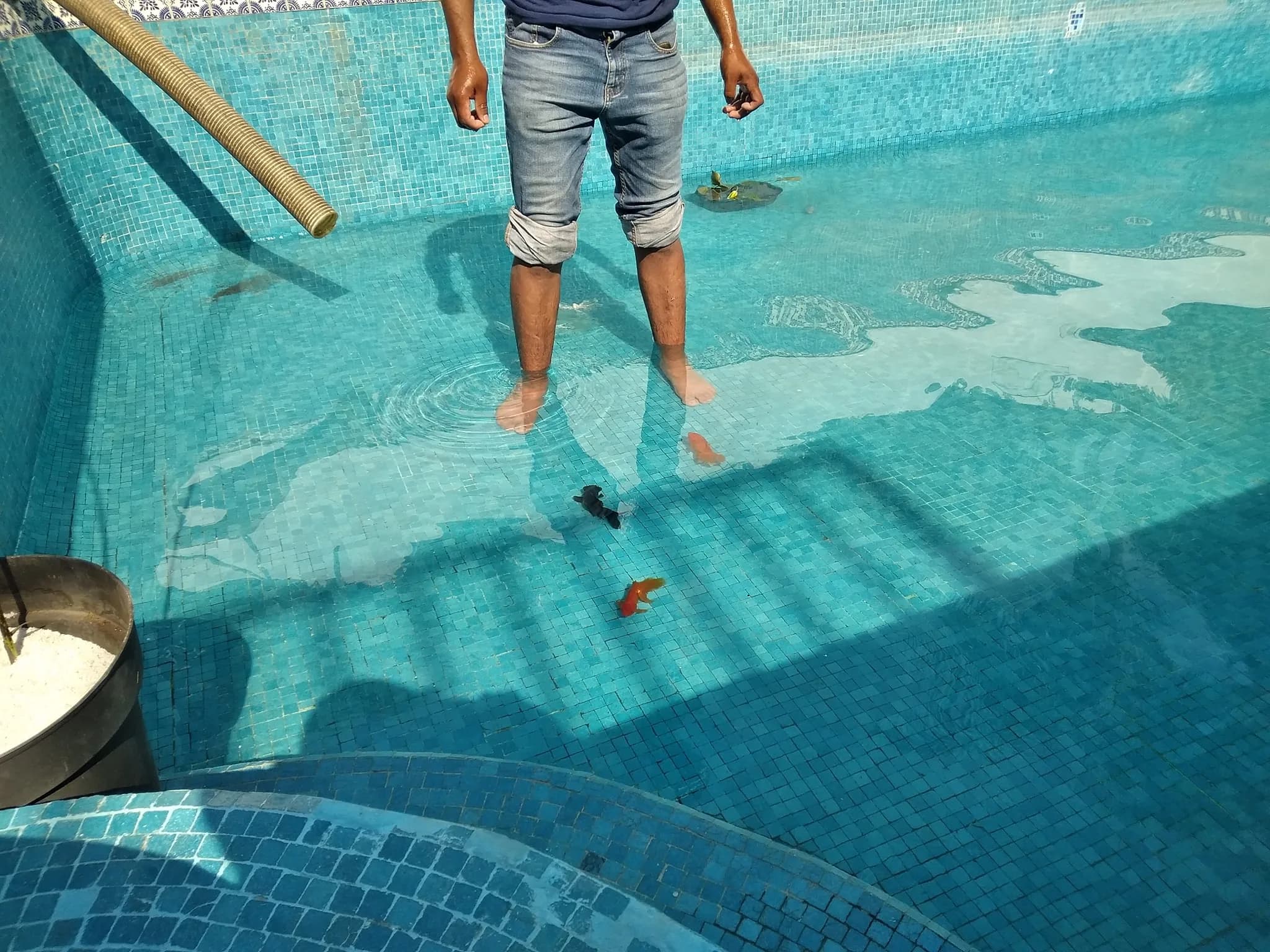 Biopiscina tropical - 4