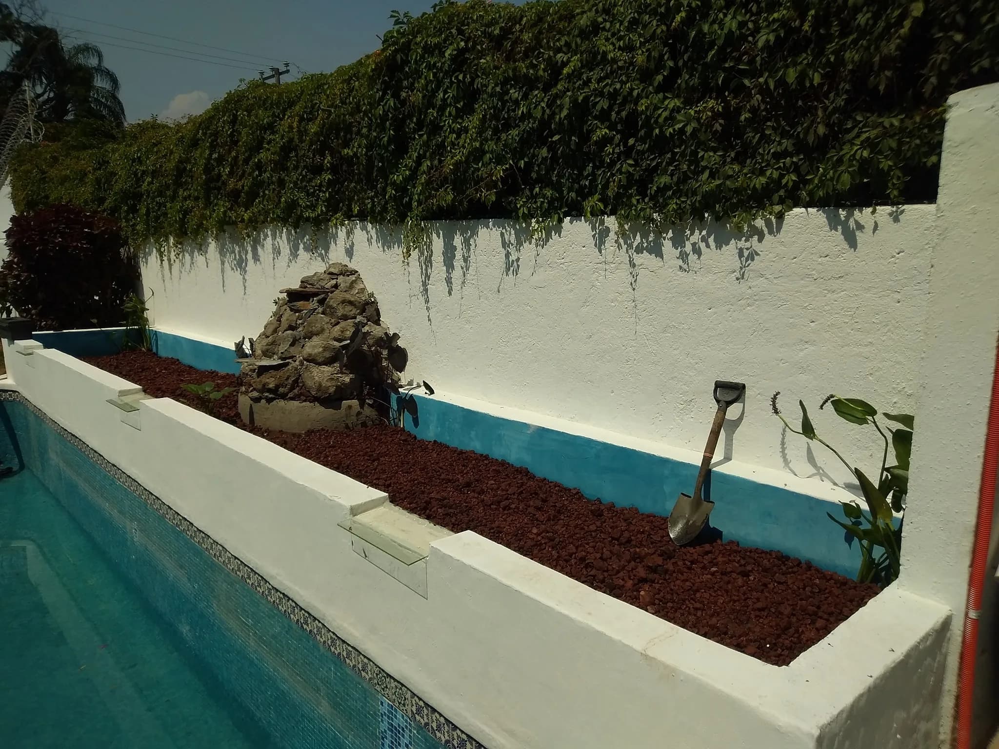 Biopiscina tropical - 6