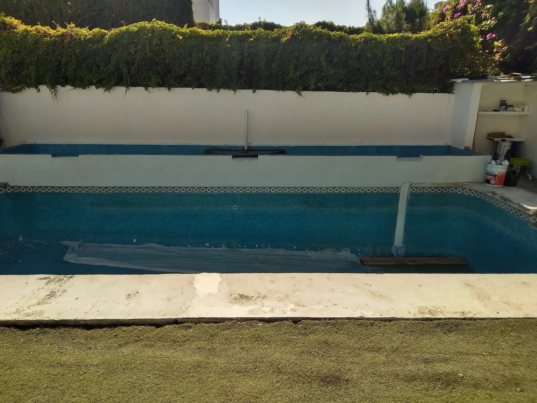 Biopiscina tropical - 8