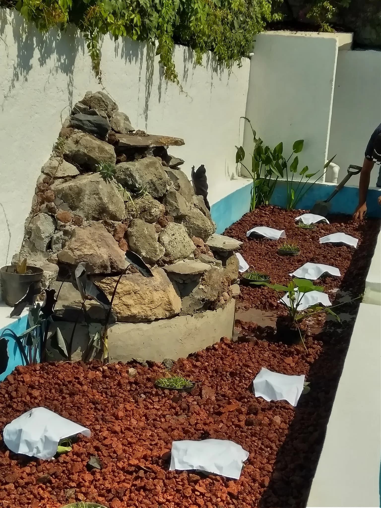 Biopiscina tropical - 9