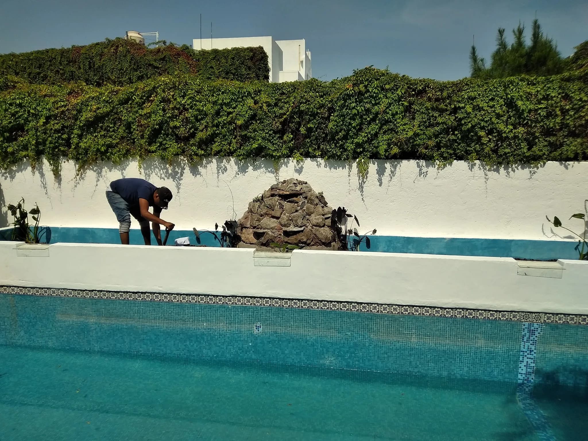 Biopiscina tropical - 10