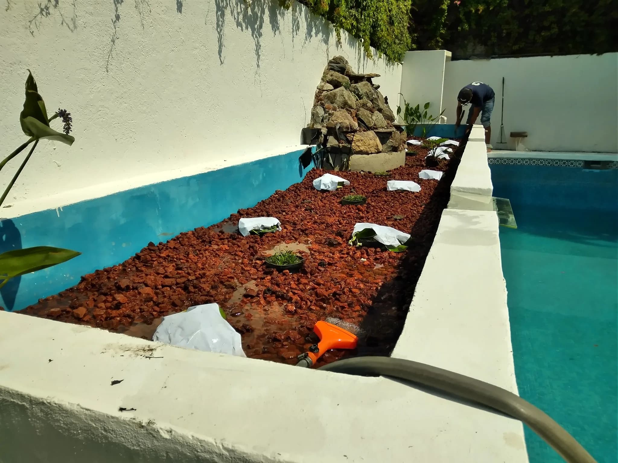 Biopiscina tropical - 12