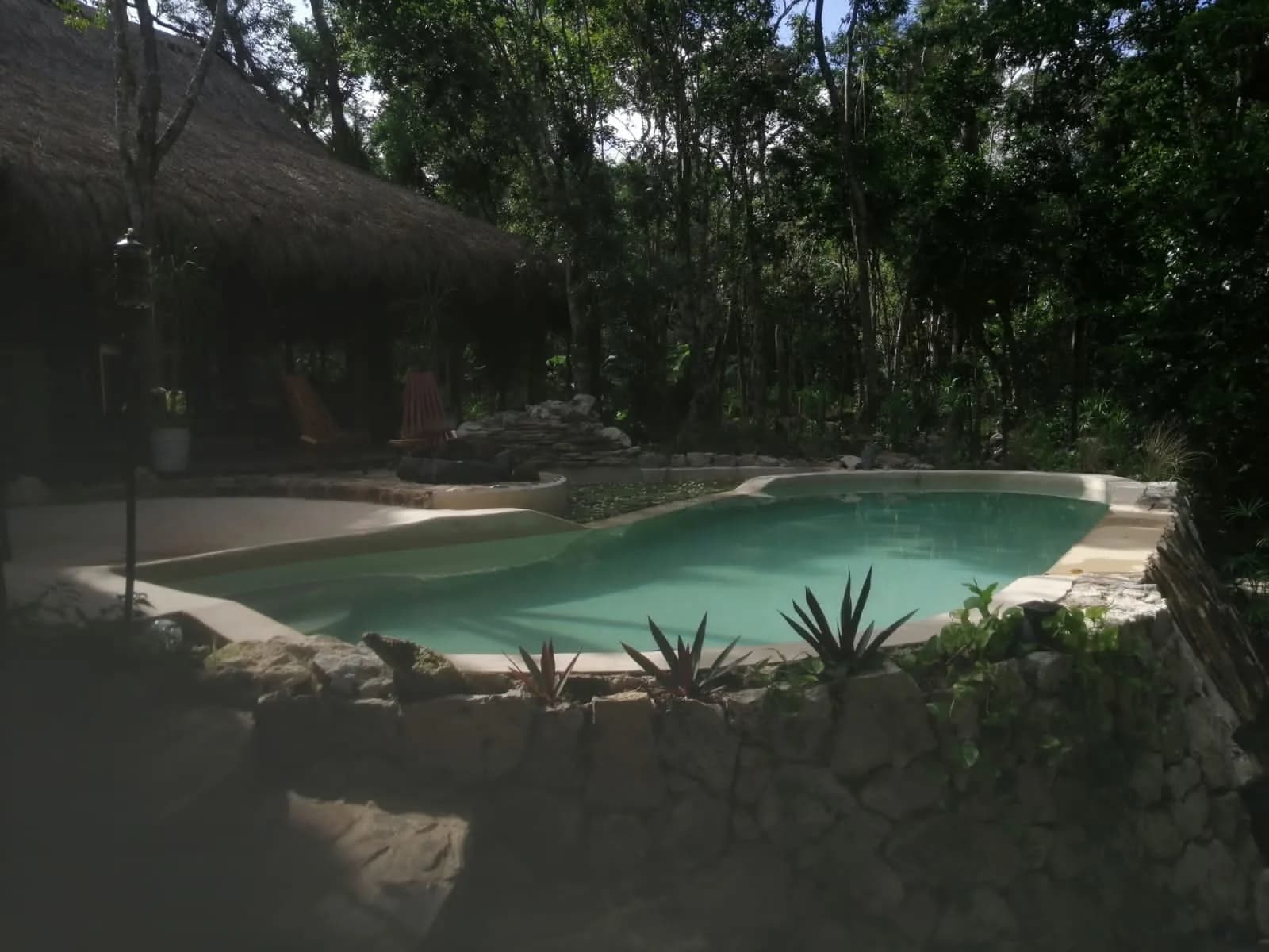 Biopiscina semiurbana - 4