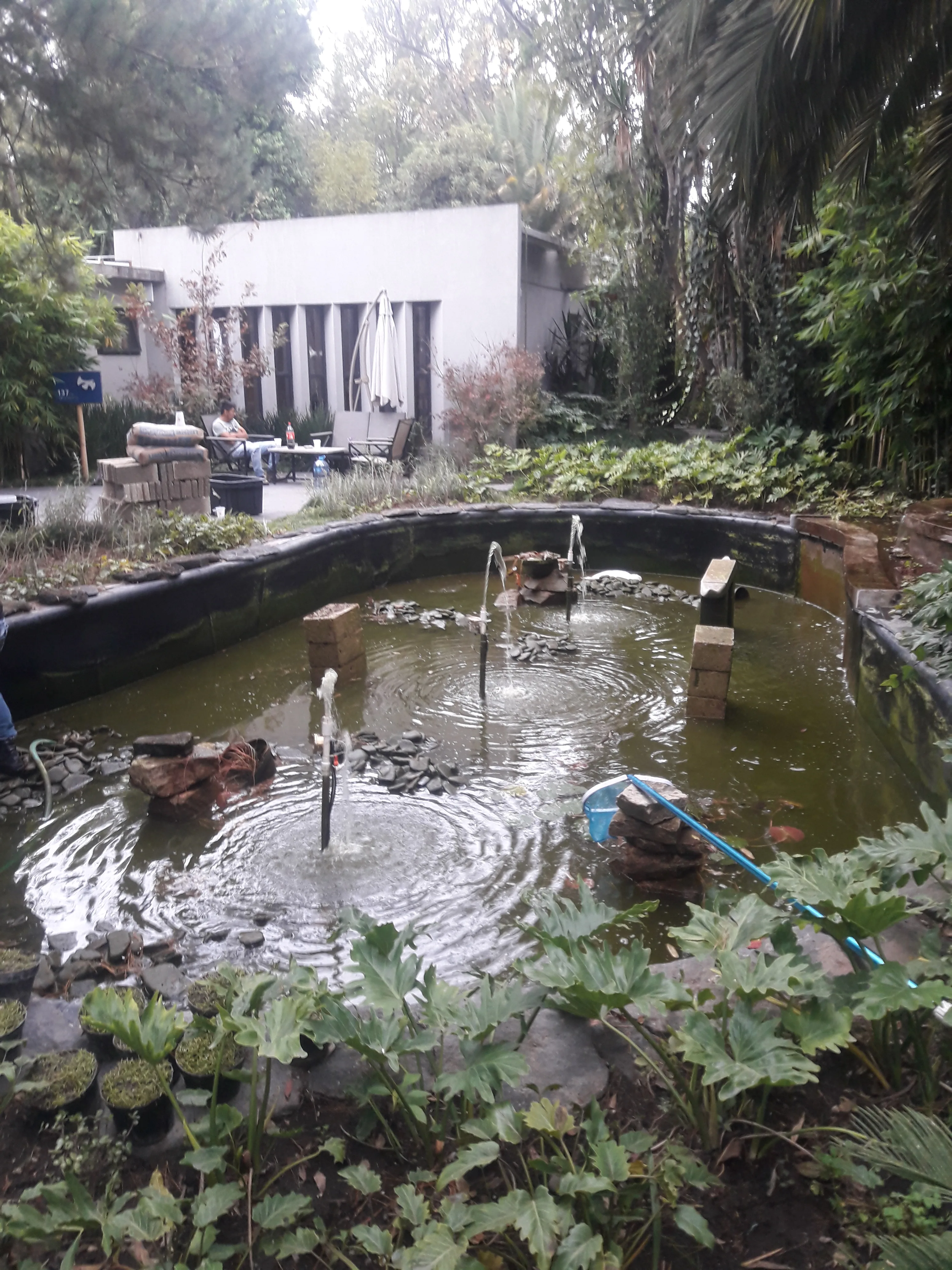 Ecosistema Mediano con Cascada