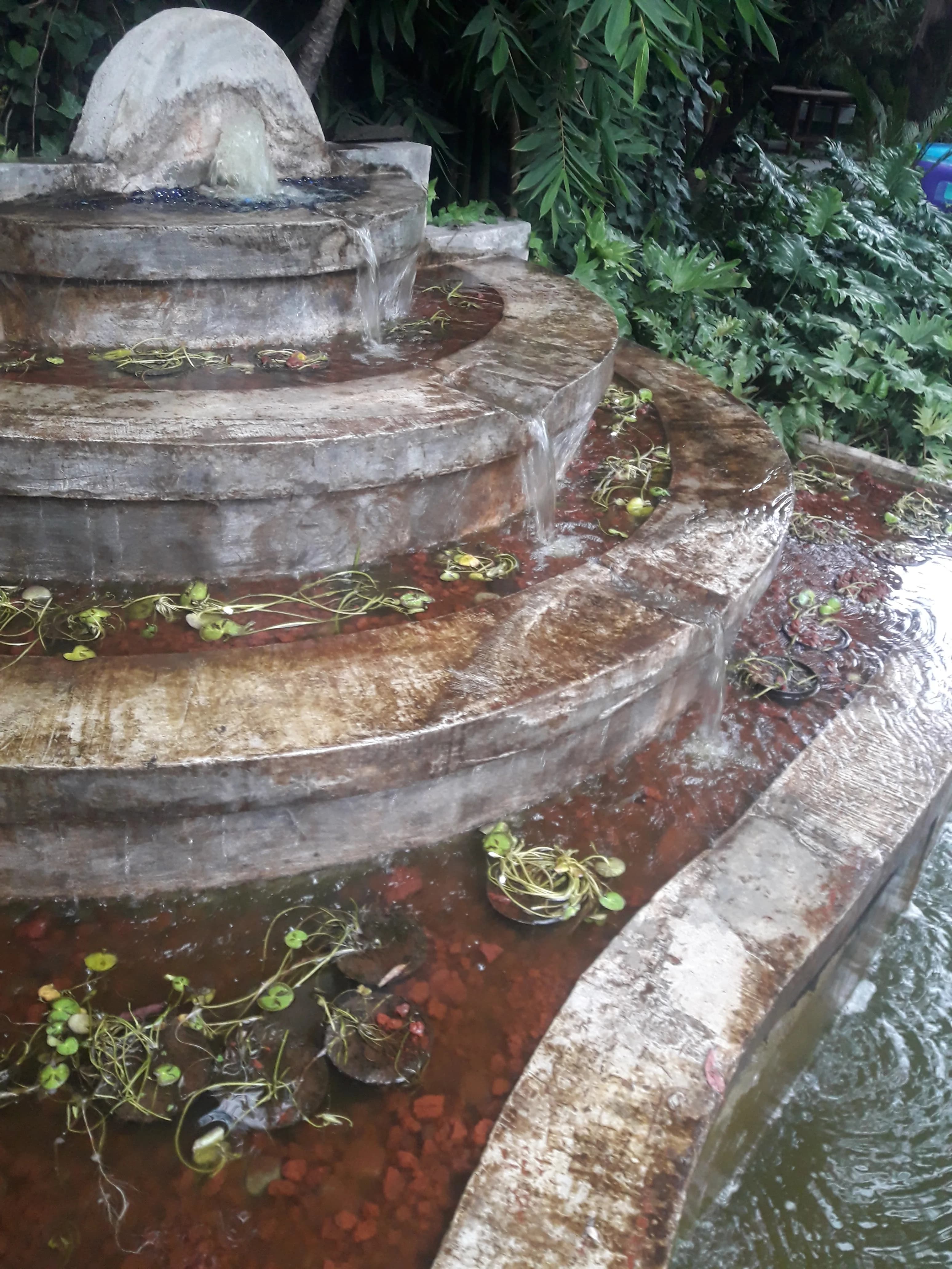 Ecosistema Mediano con Cascada - 2