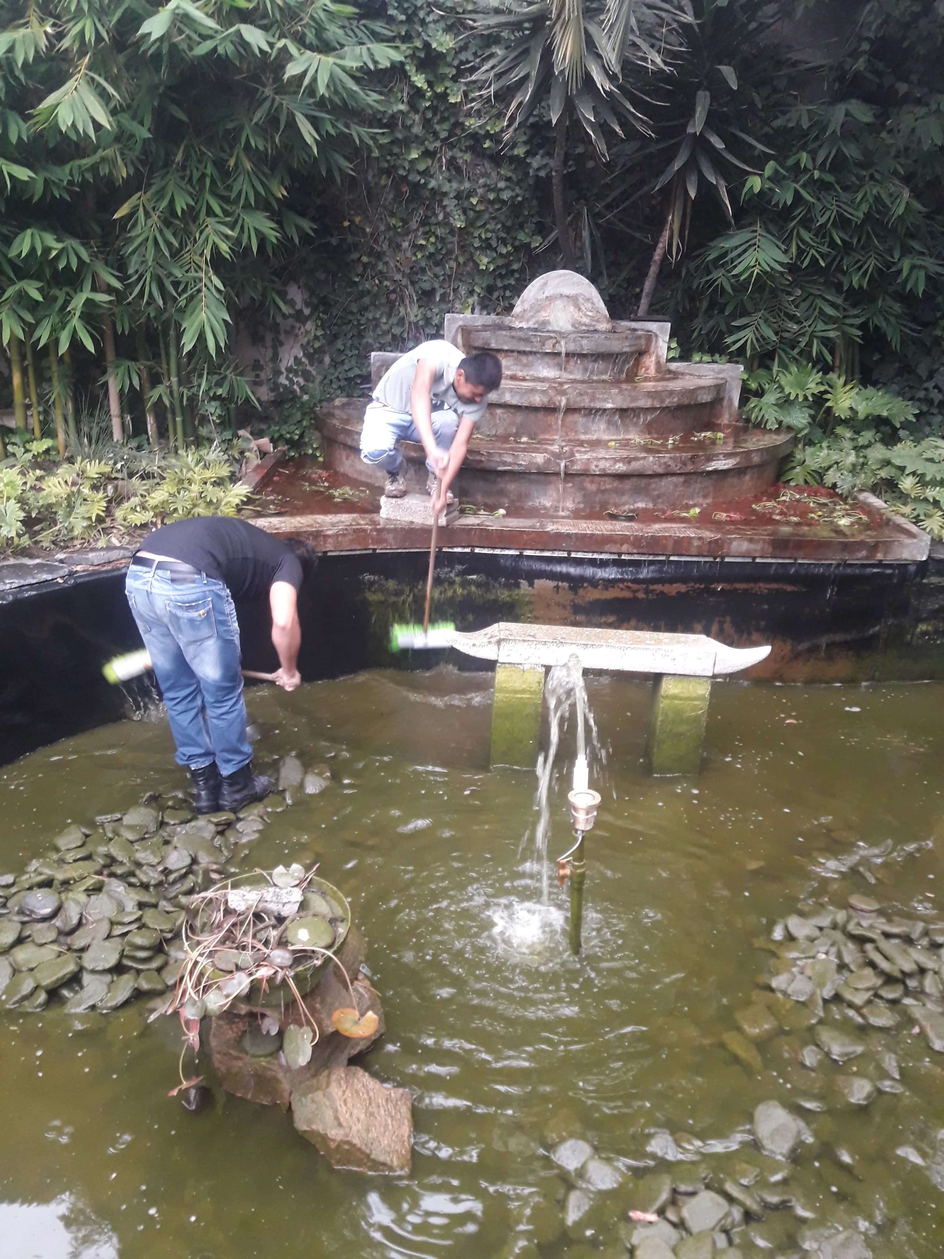 Ecosistema Mediano con Cascada - 3