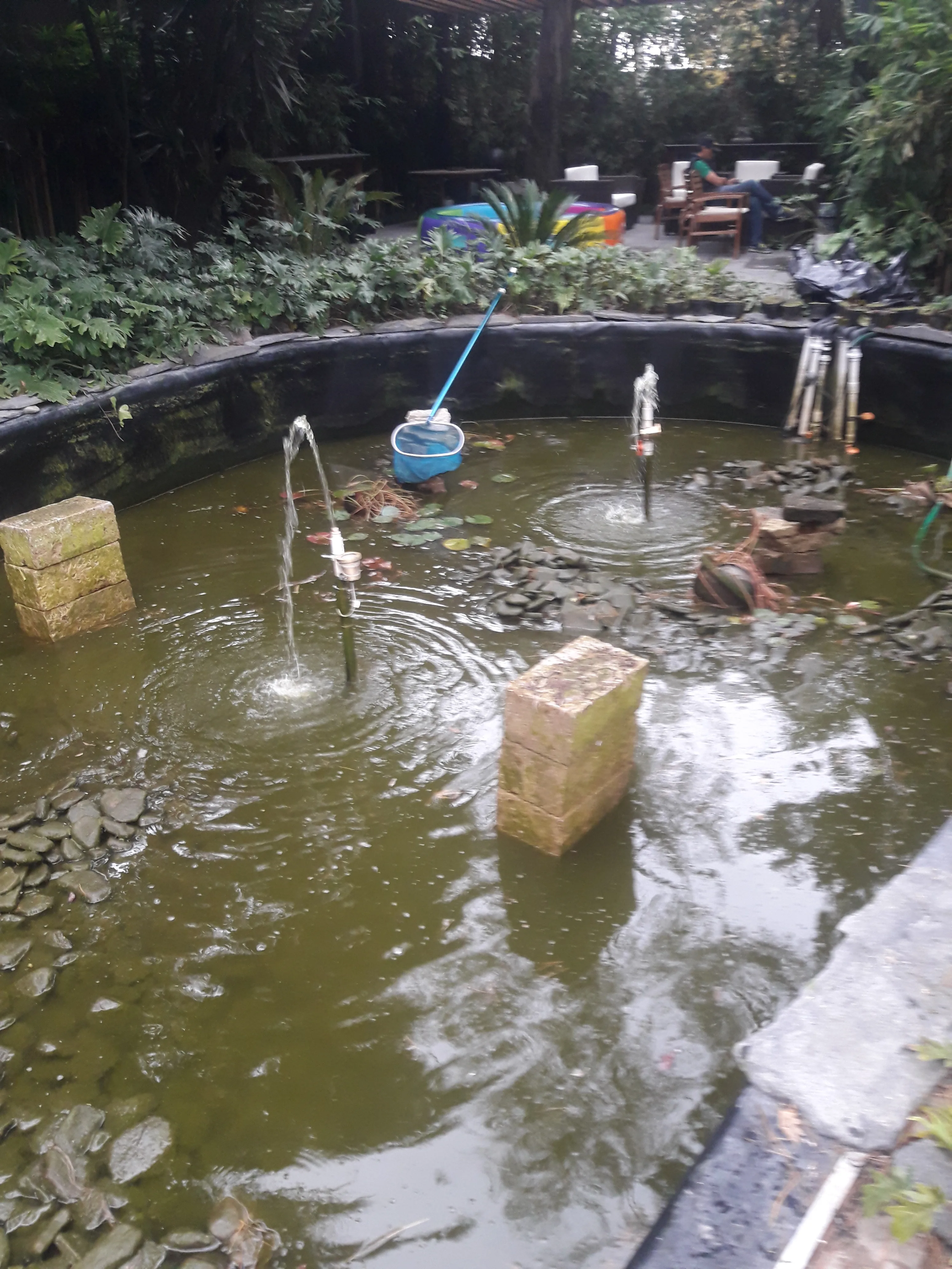 Ecosistema Mediano con Cascada - 4