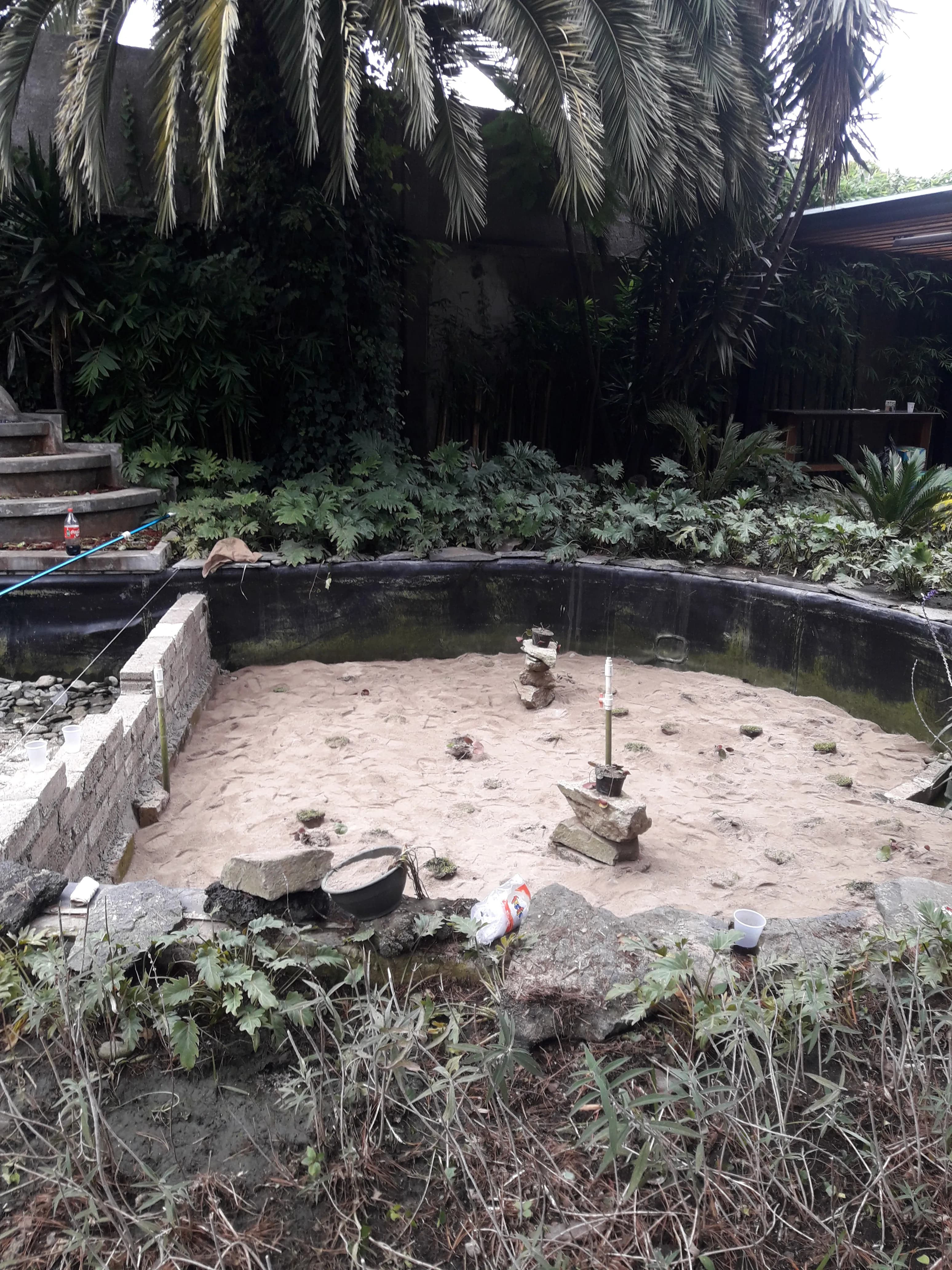 Ecosistema Mediano con Cascada - 5