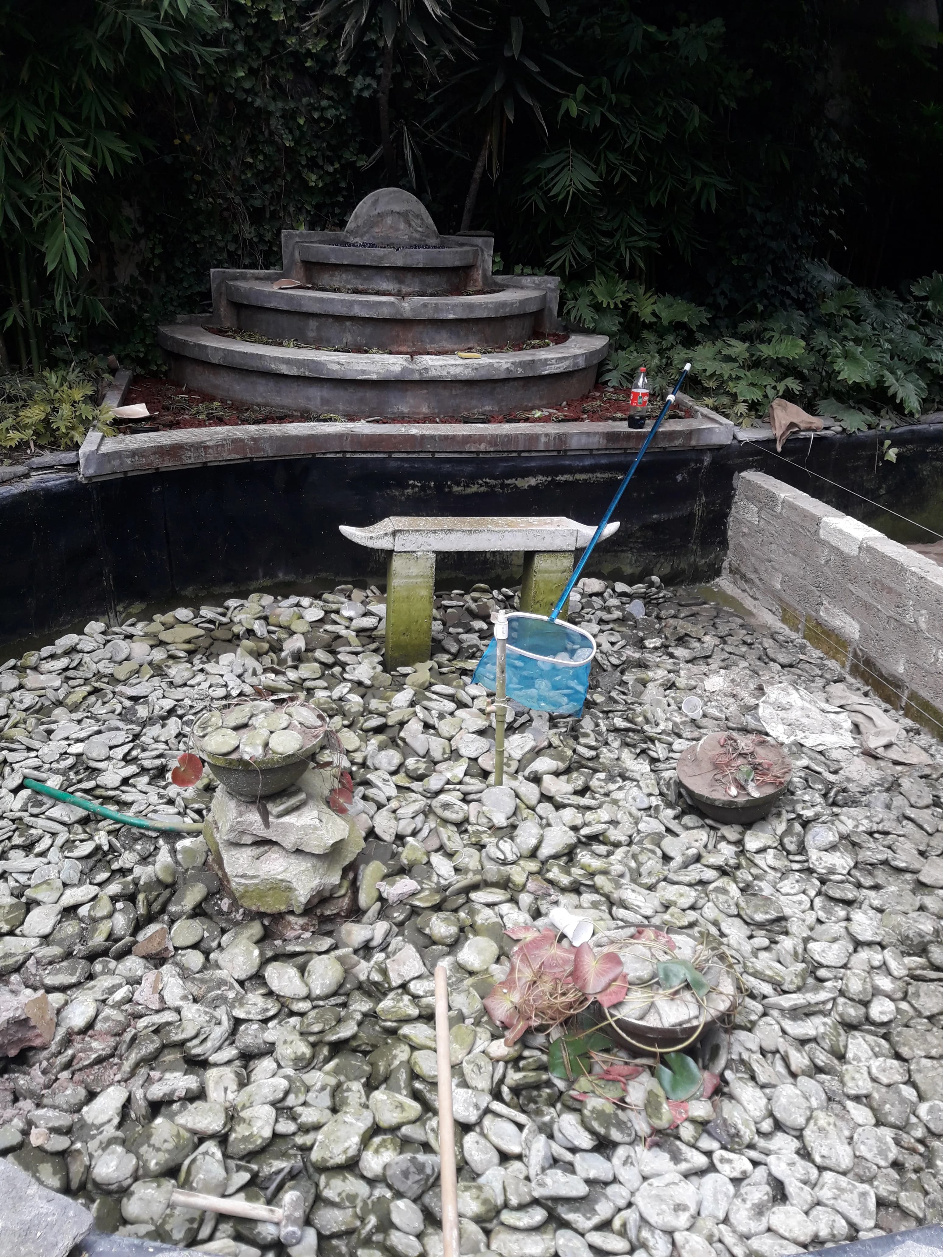 Ecosistema Mediano con Cascada - 6