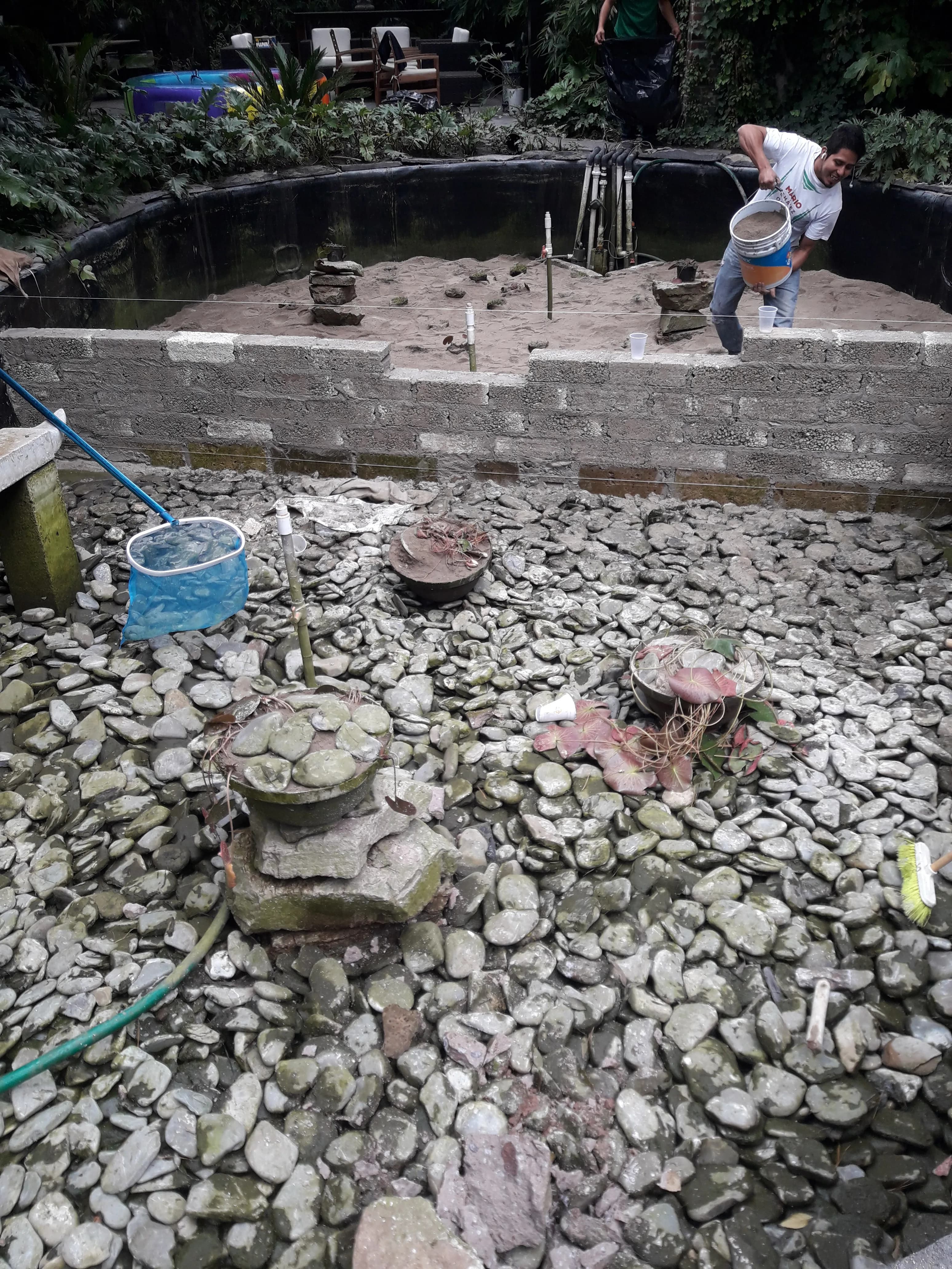 Ecosistema Mediano con Cascada - 7