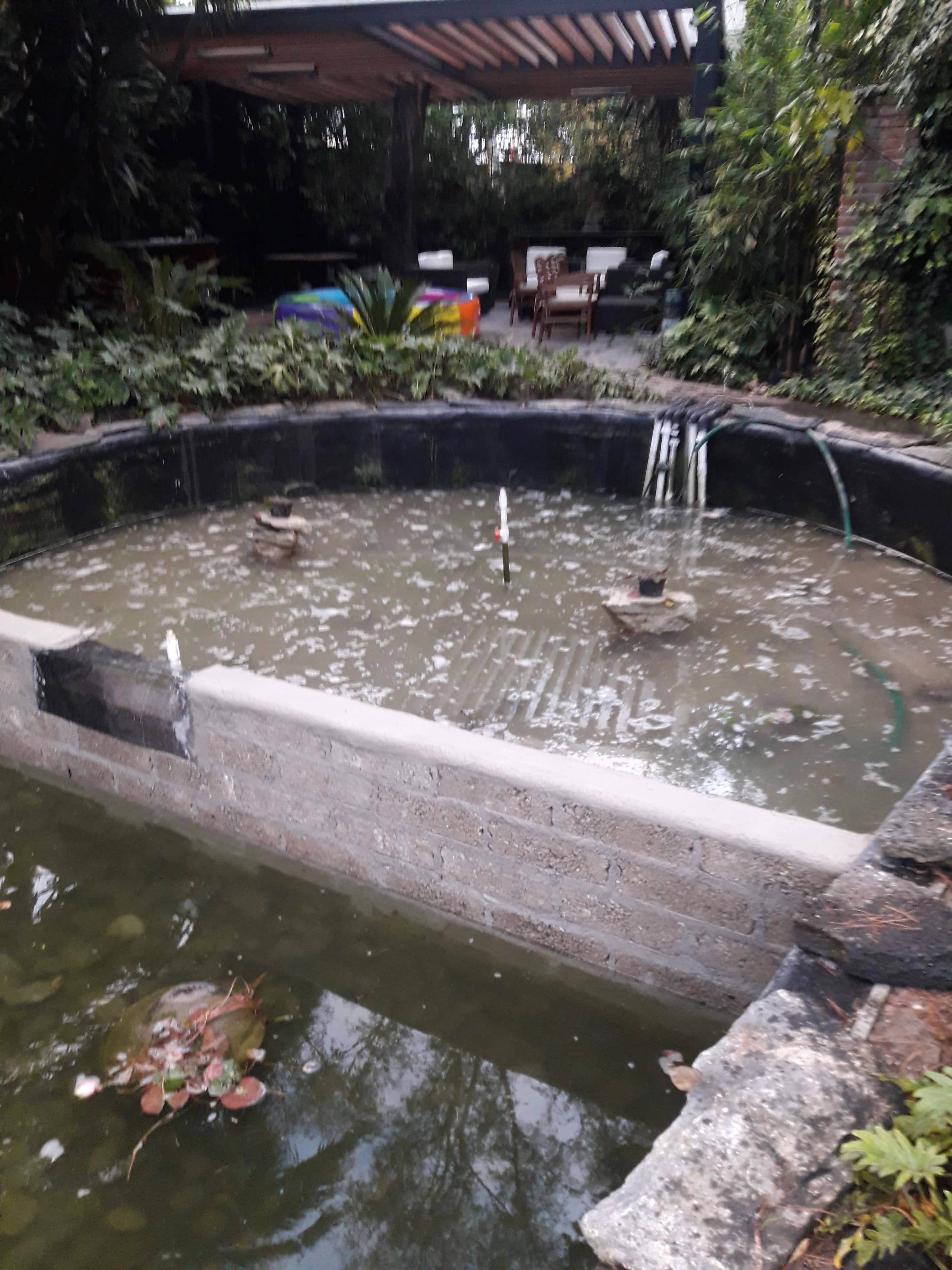 Ecosistema Mediano con Cascada - 9