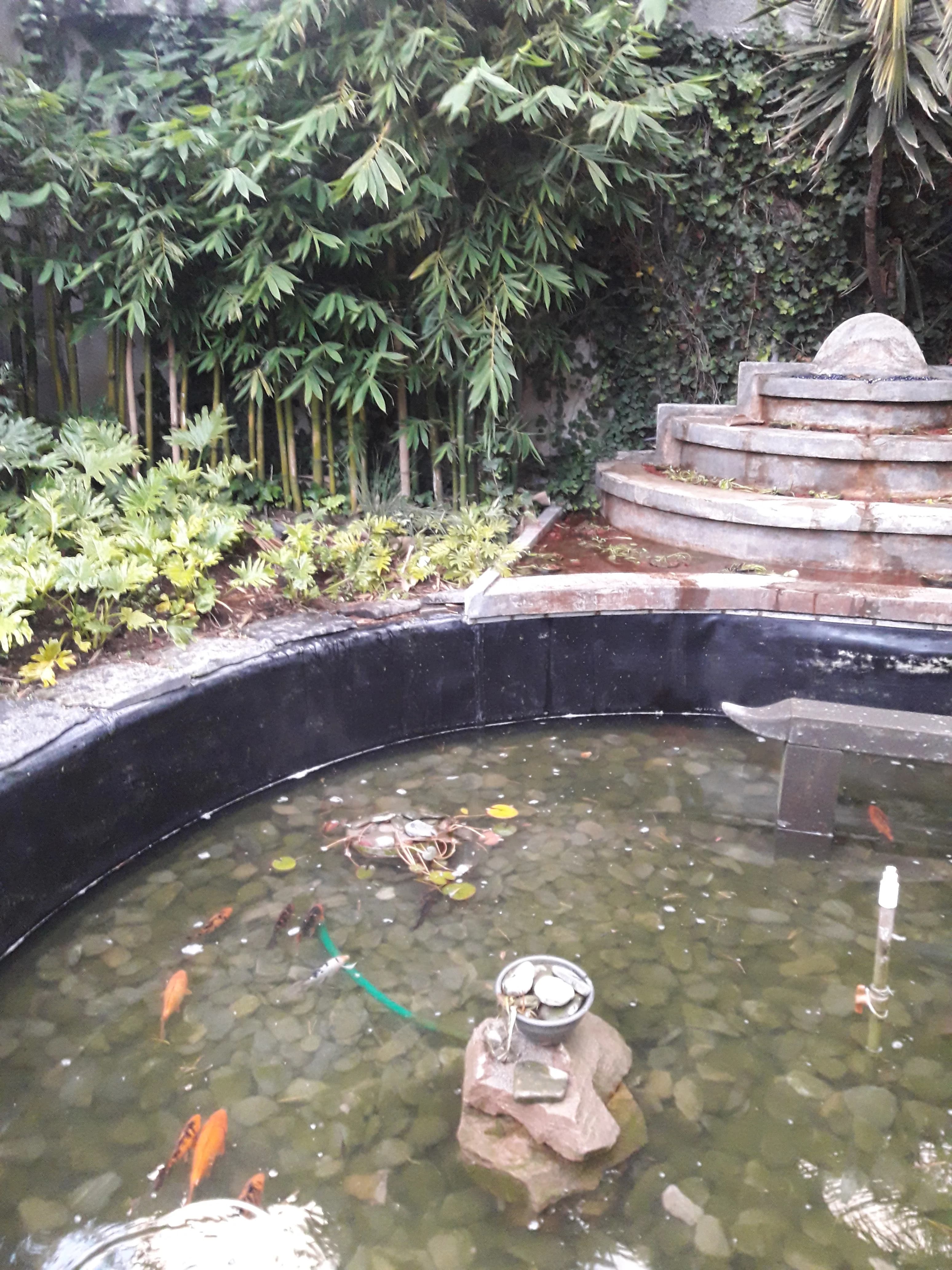 Ecosistema Mediano con Cascada - 10