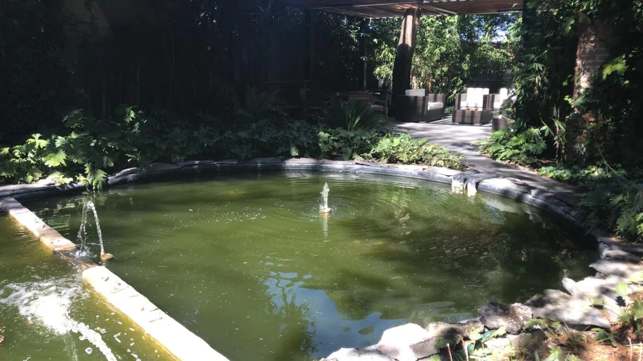 Ecosistema Mediano con Cascada - 11