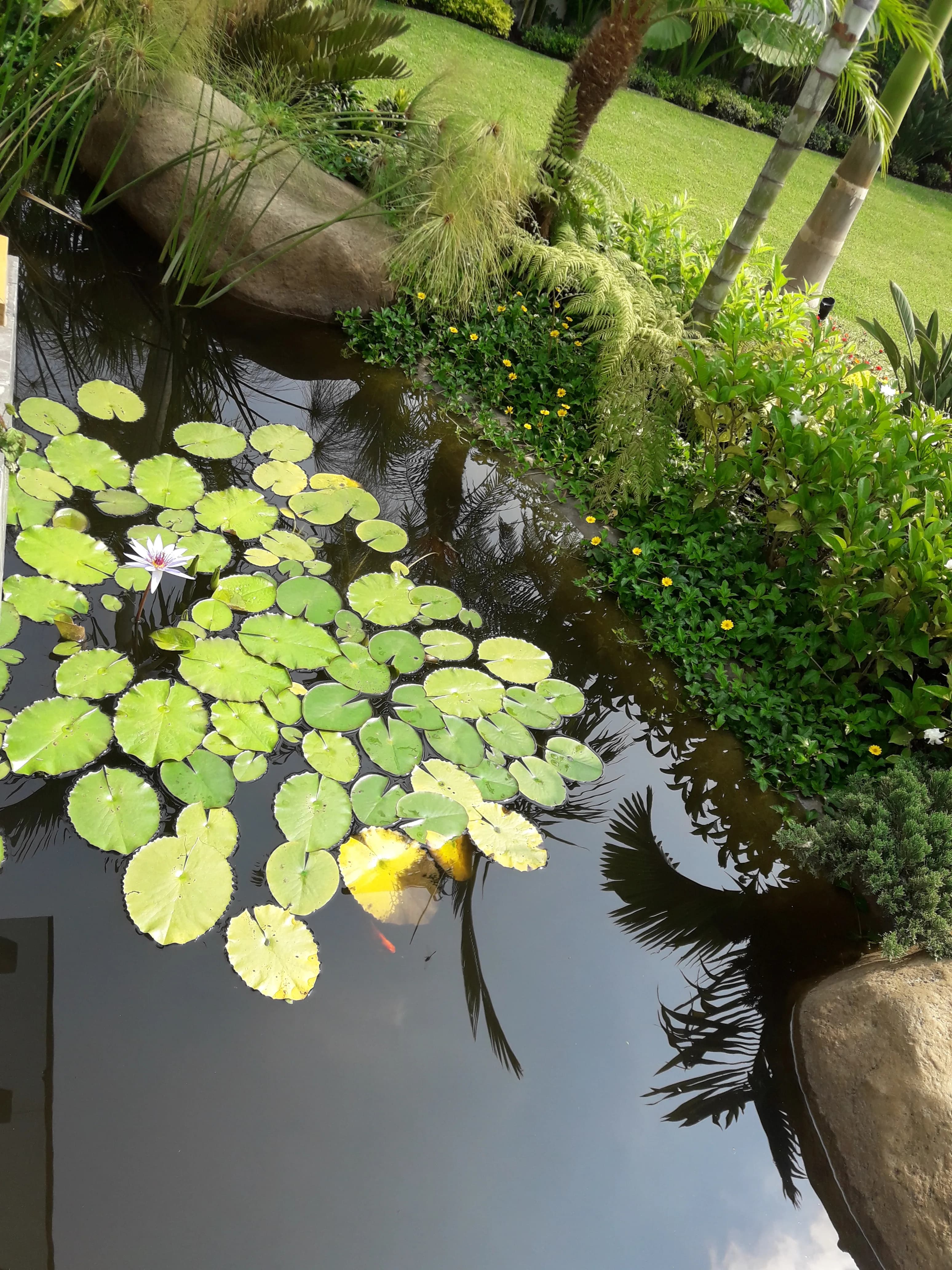 Ecosistema de Patio Escolar - 2