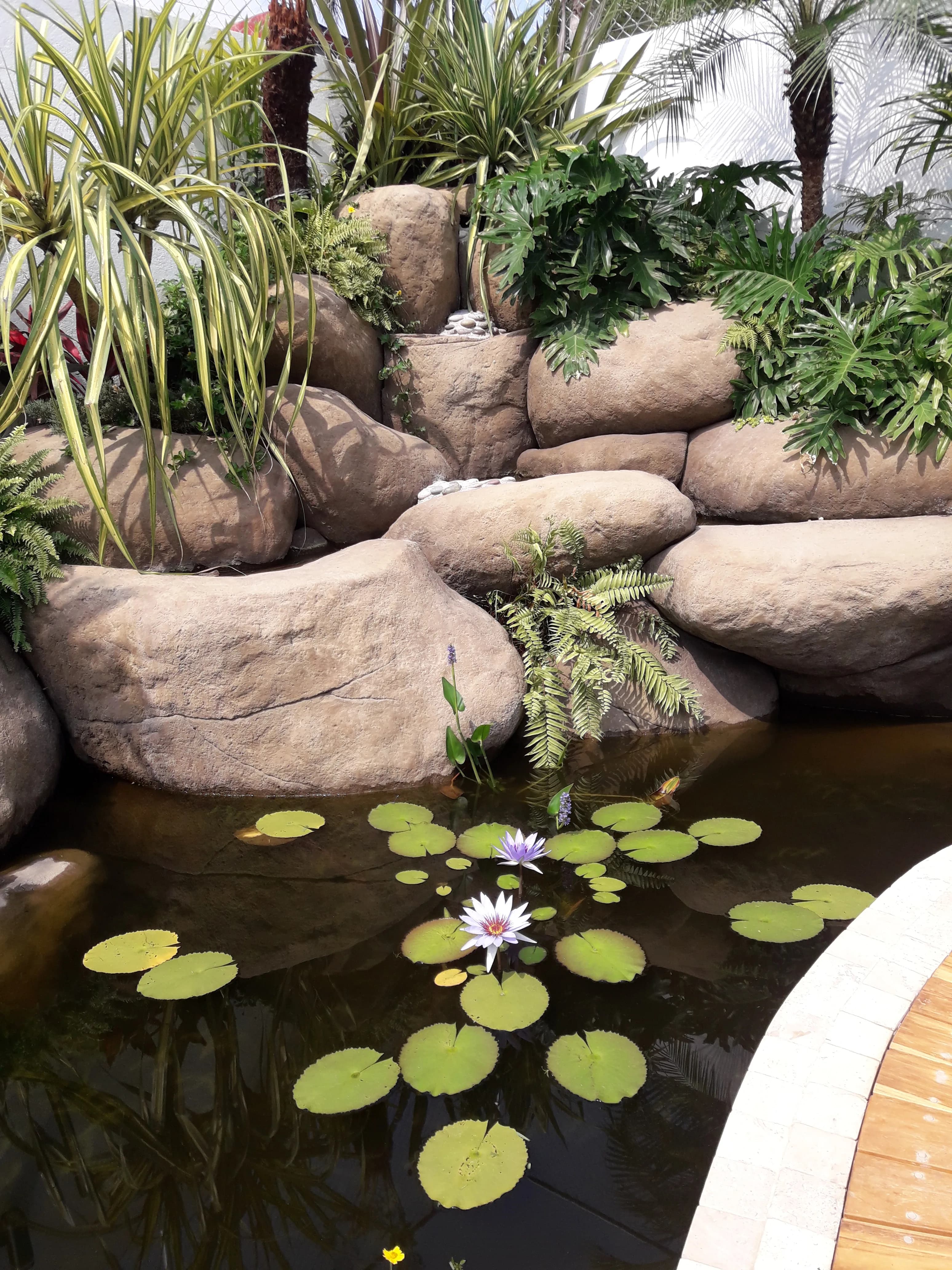 Ecosistema de Patio Escolar - 3