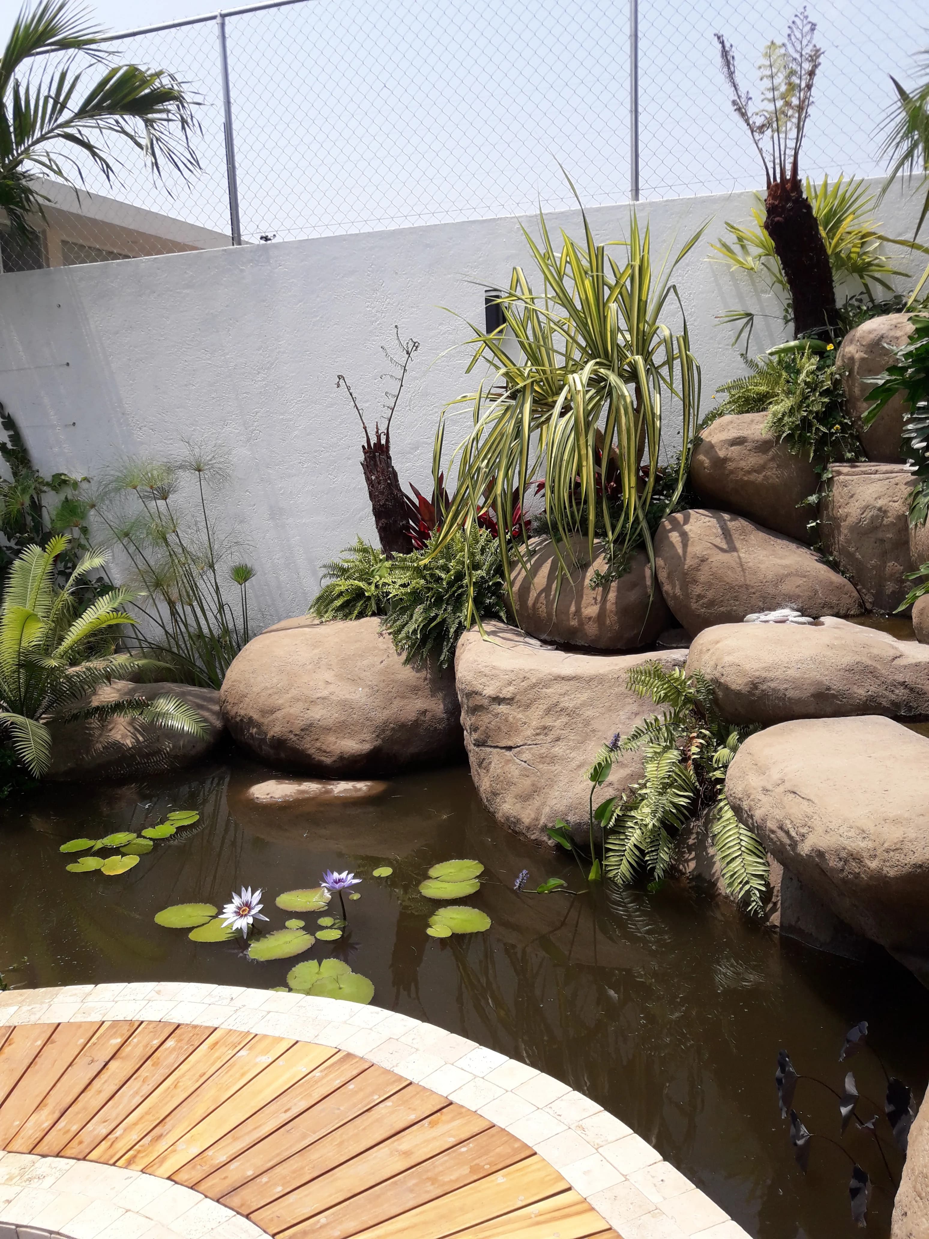 Ecosistema de Patio Escolar - 5