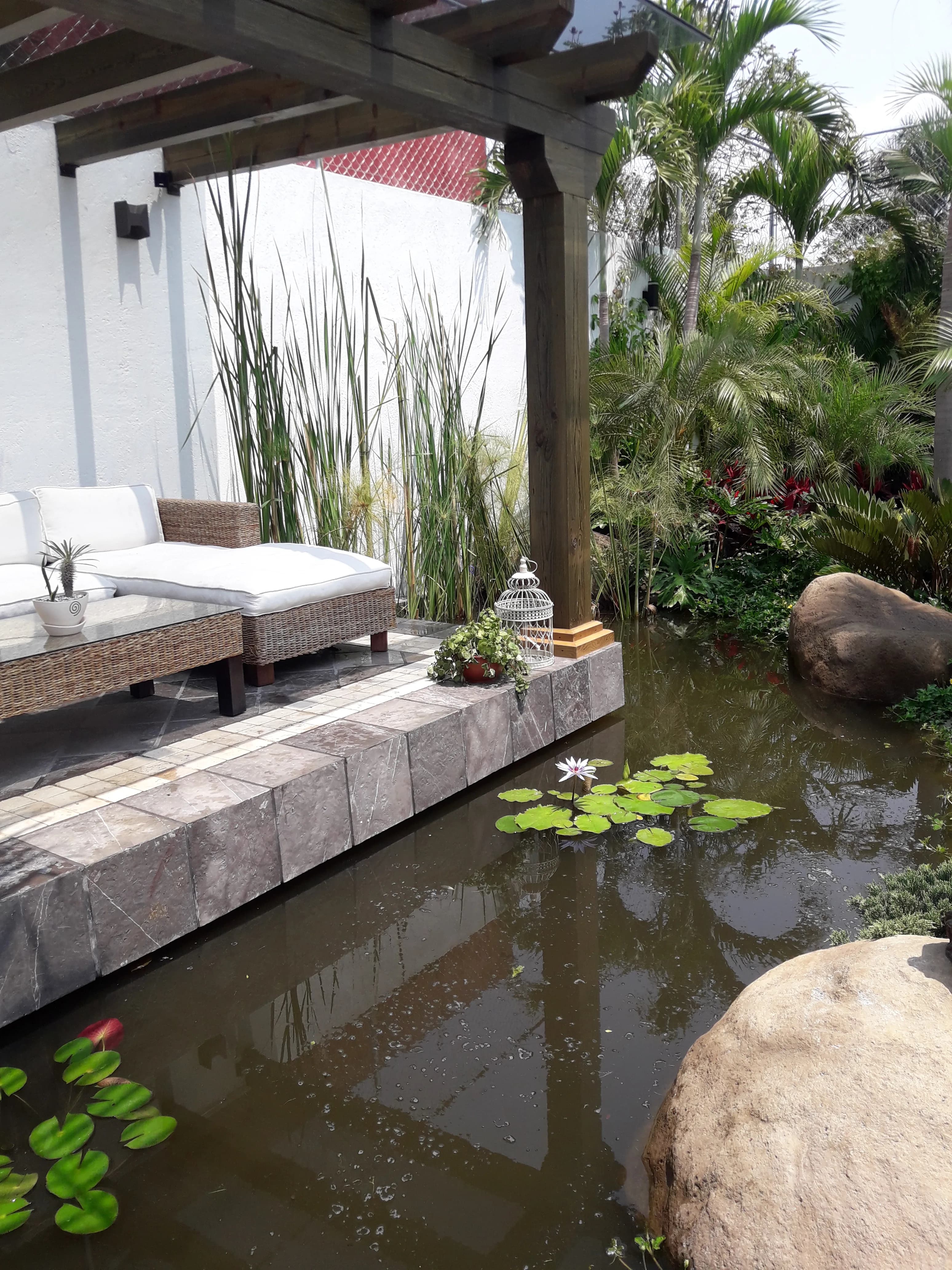 Ecosistema de Patio Escolar - 6