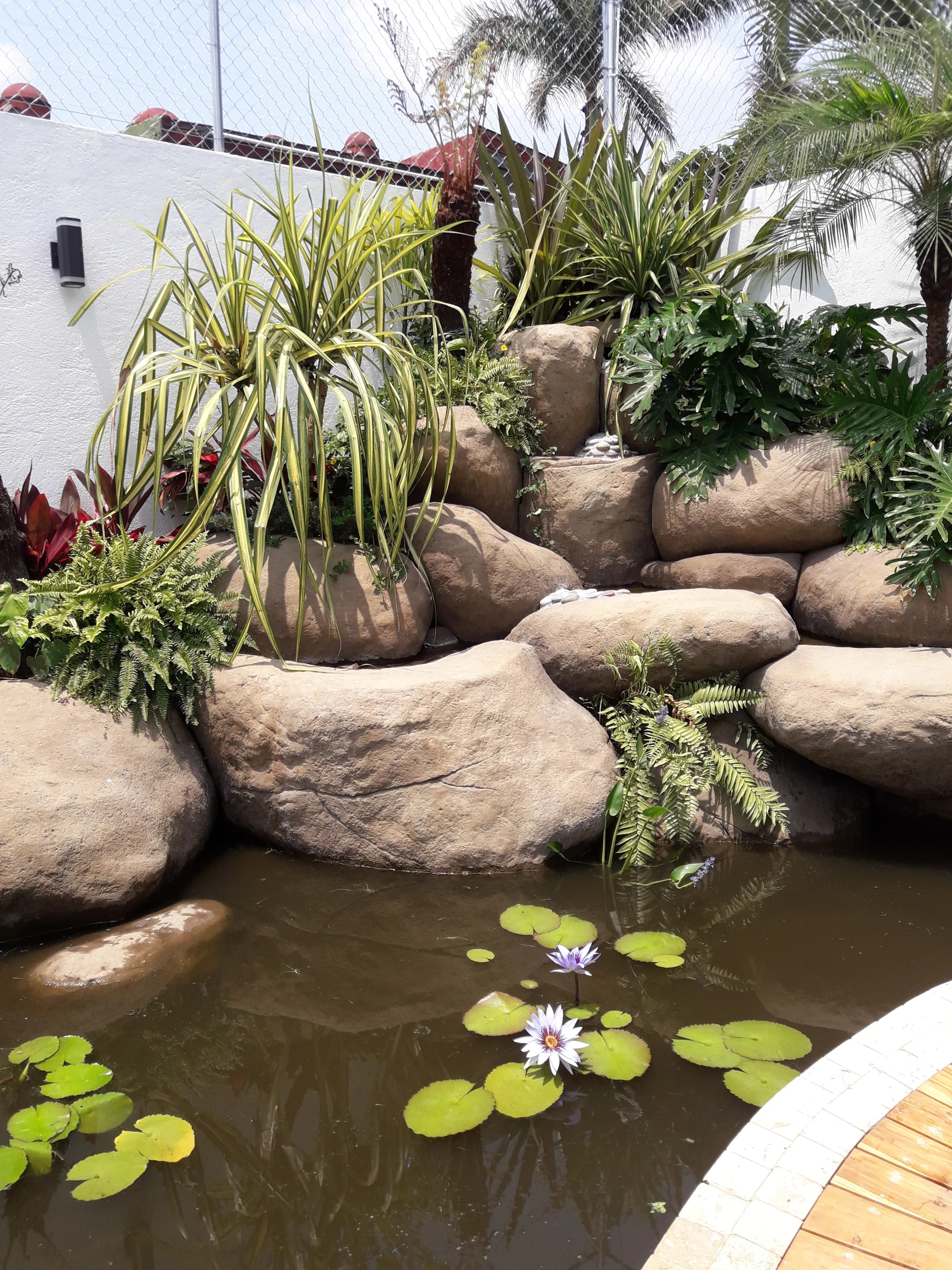 Ecosistema de Patio Escolar - 7