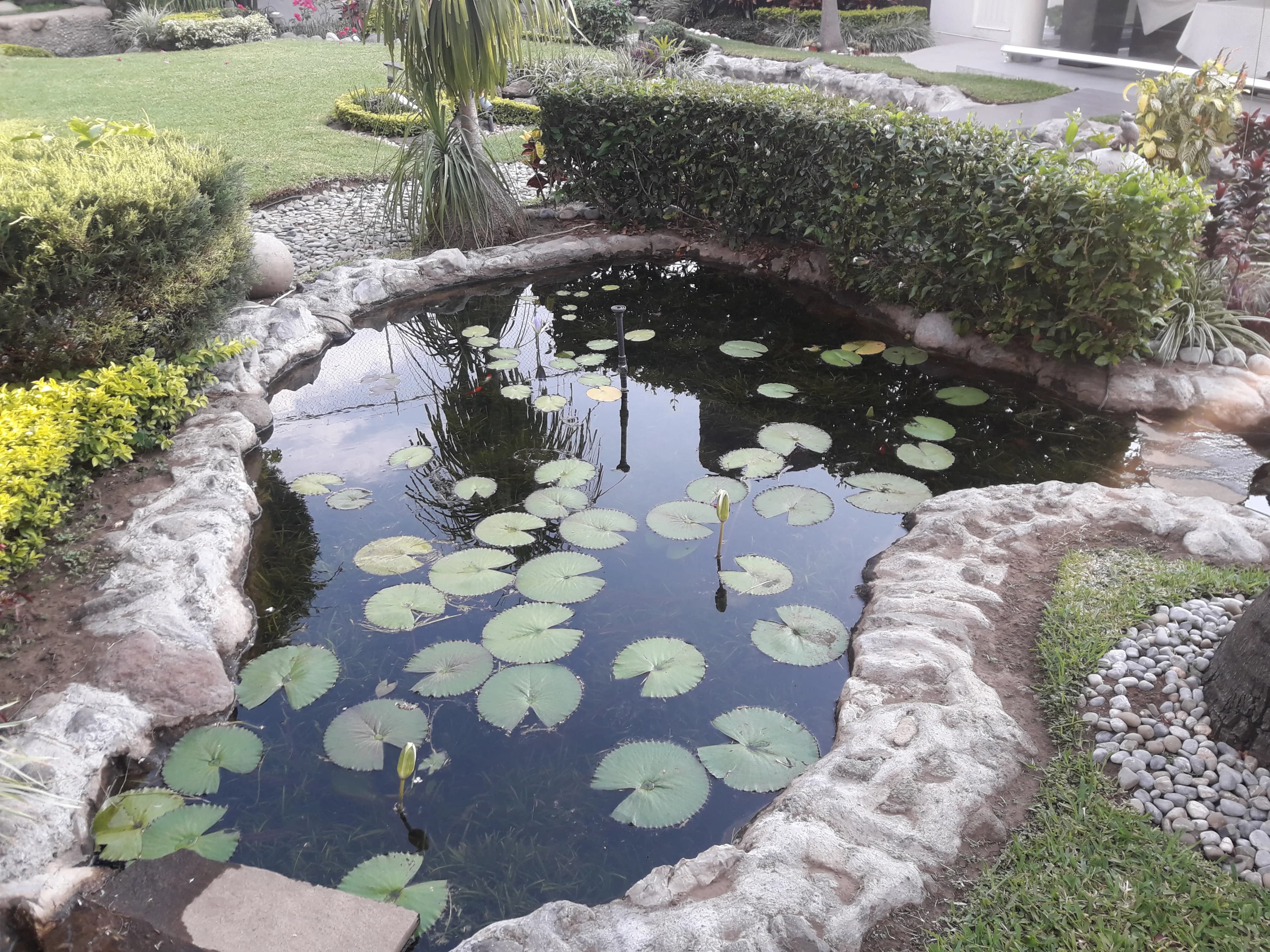 Eco-Small Patio Natural