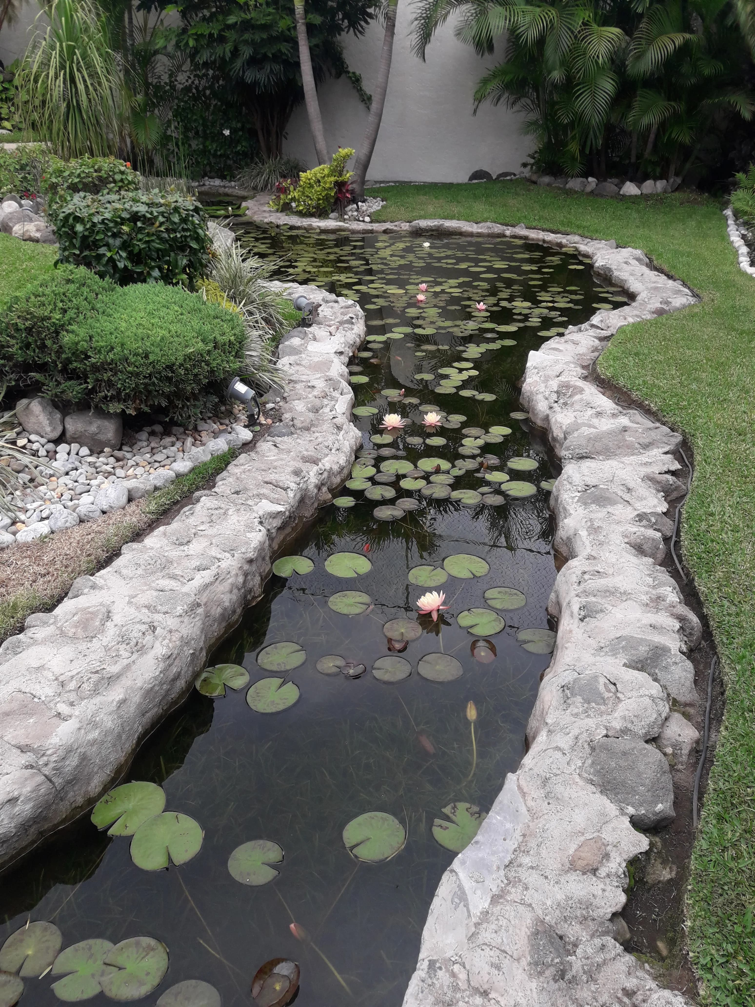 Eco-Small Patio Natural - 2