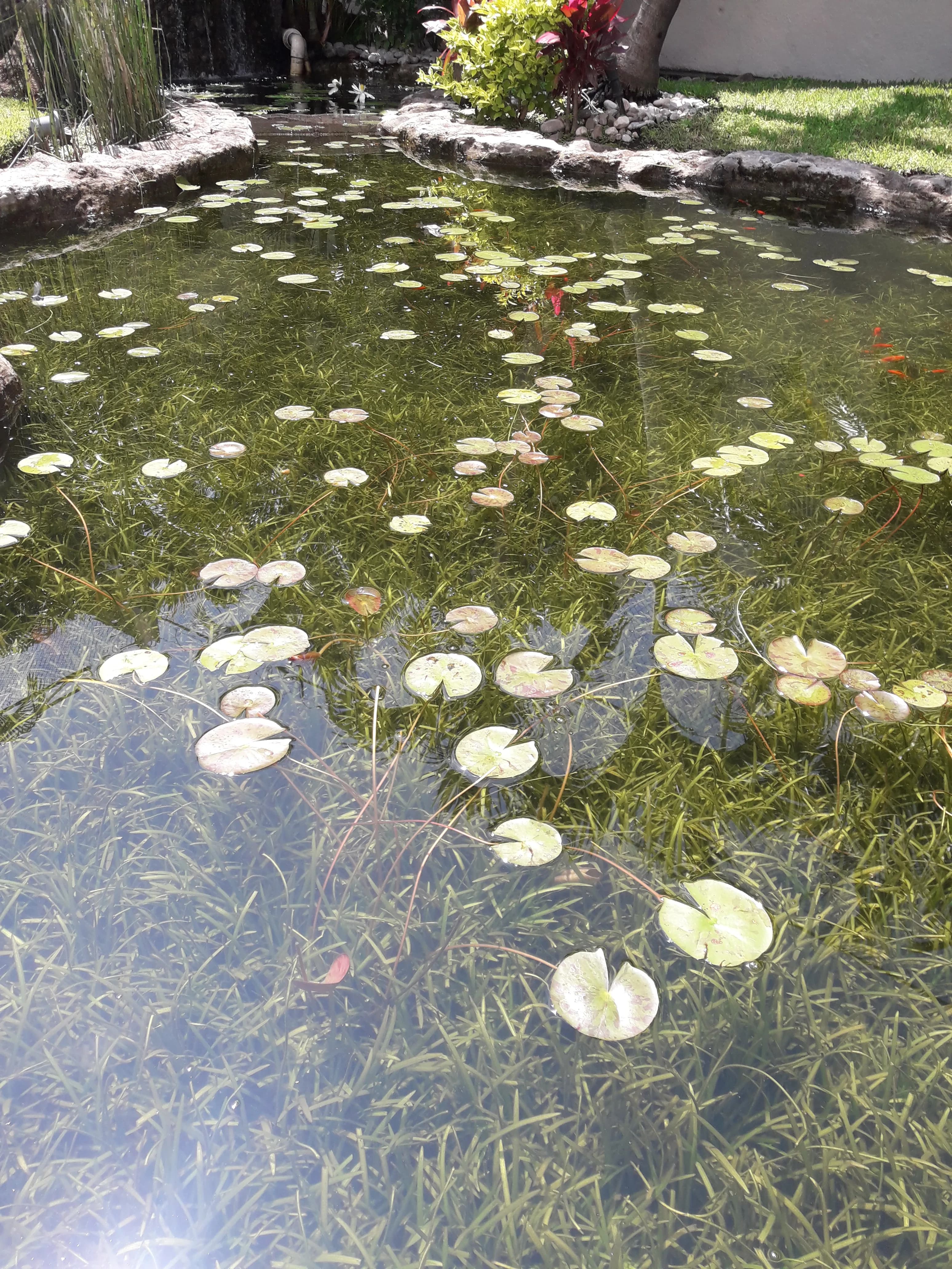 Eco-Small Patio Natural - 3