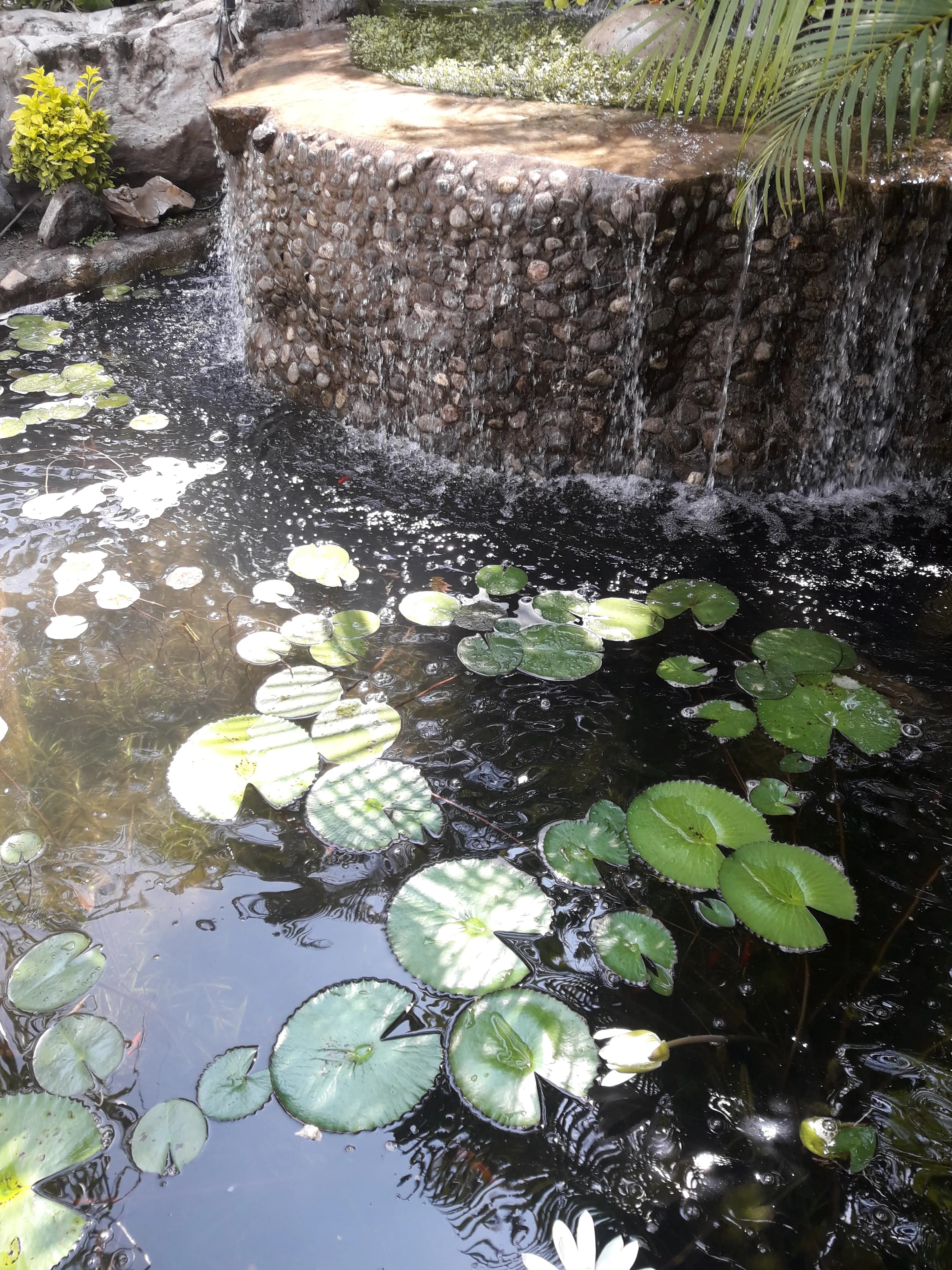 Eco-Small Patio Natural - 4