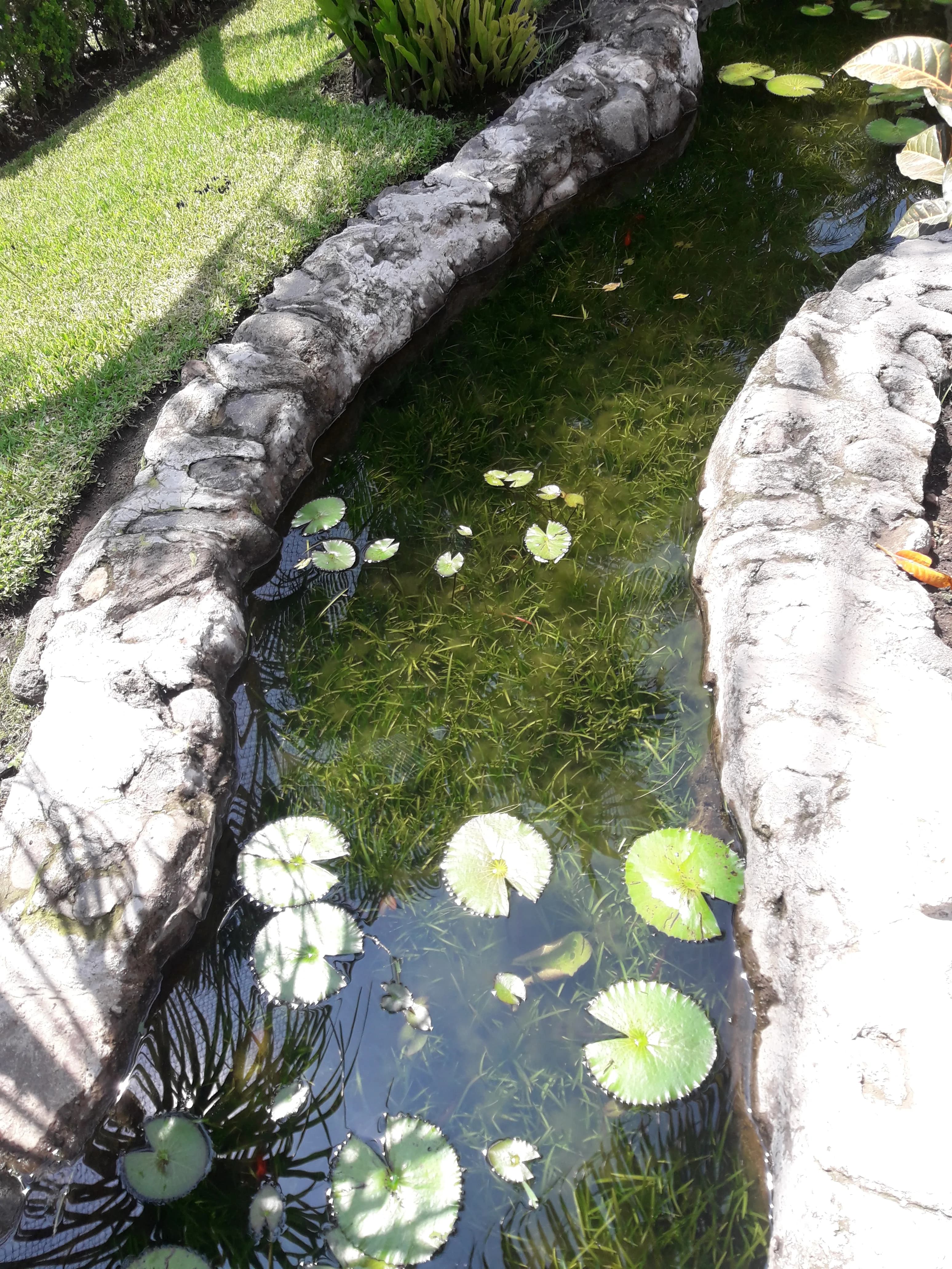 Eco-Small Patio Natural - 5