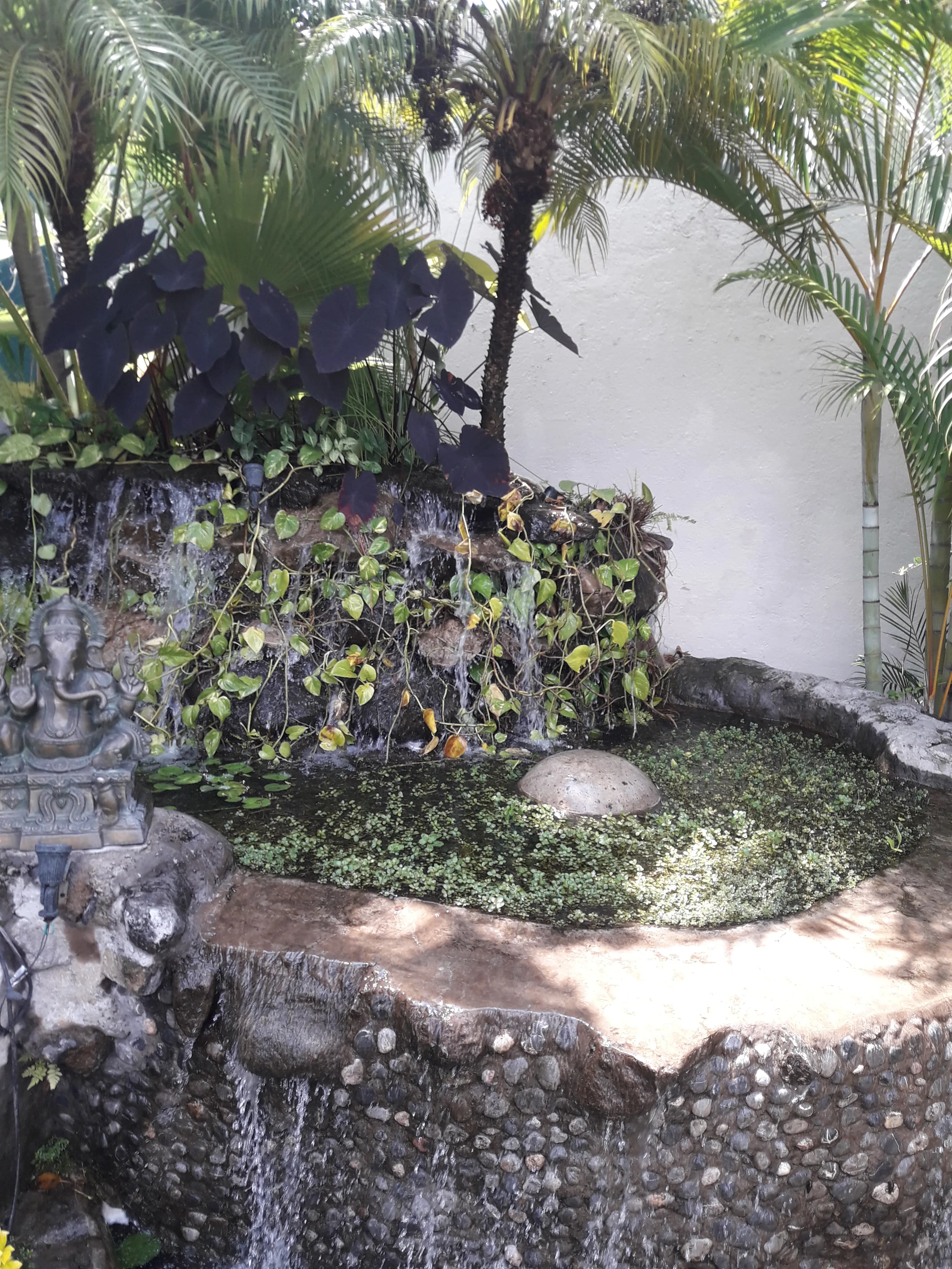 Eco-Small Patio Natural - 6