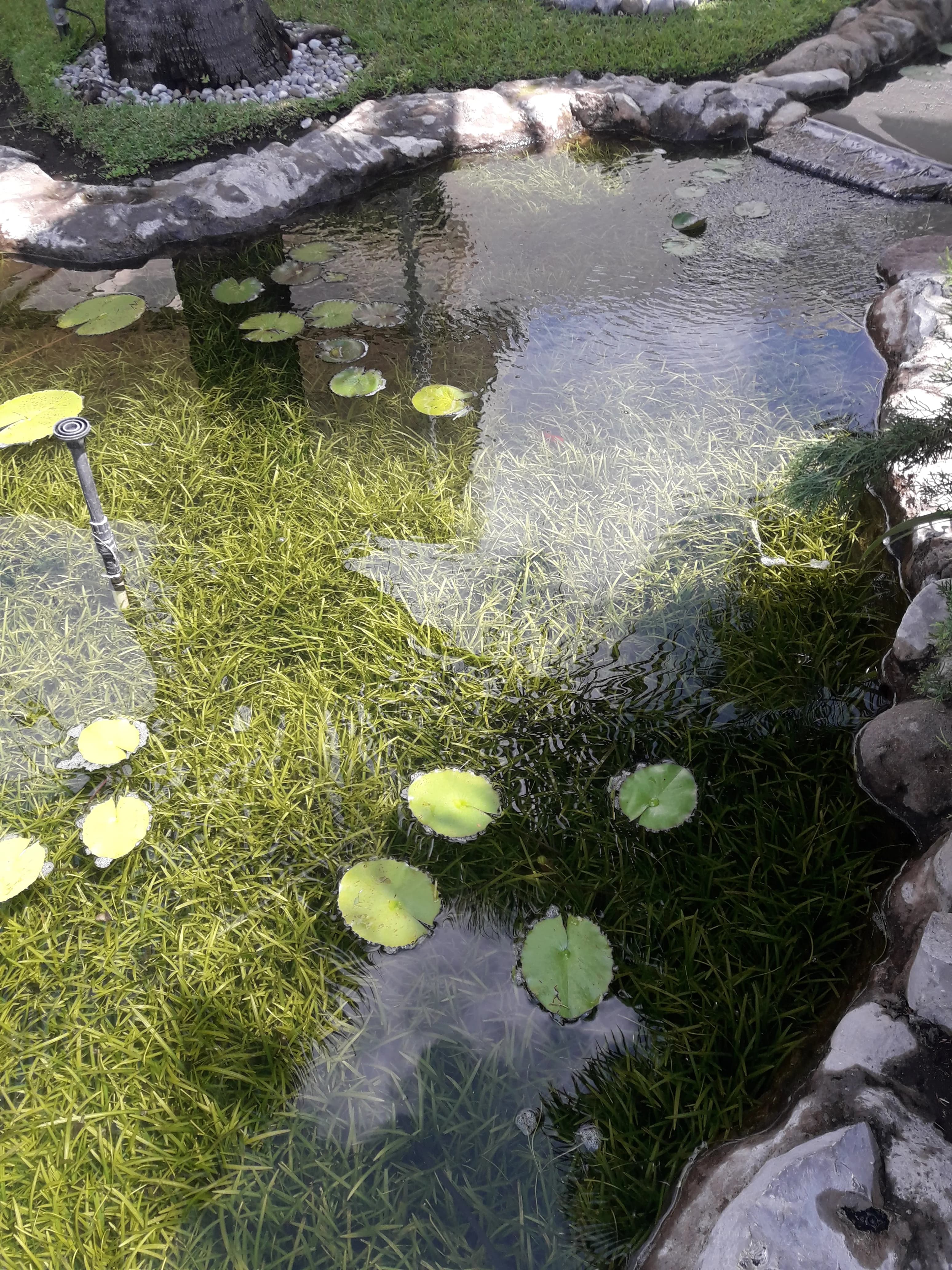 Eco-Small Patio Natural - 7