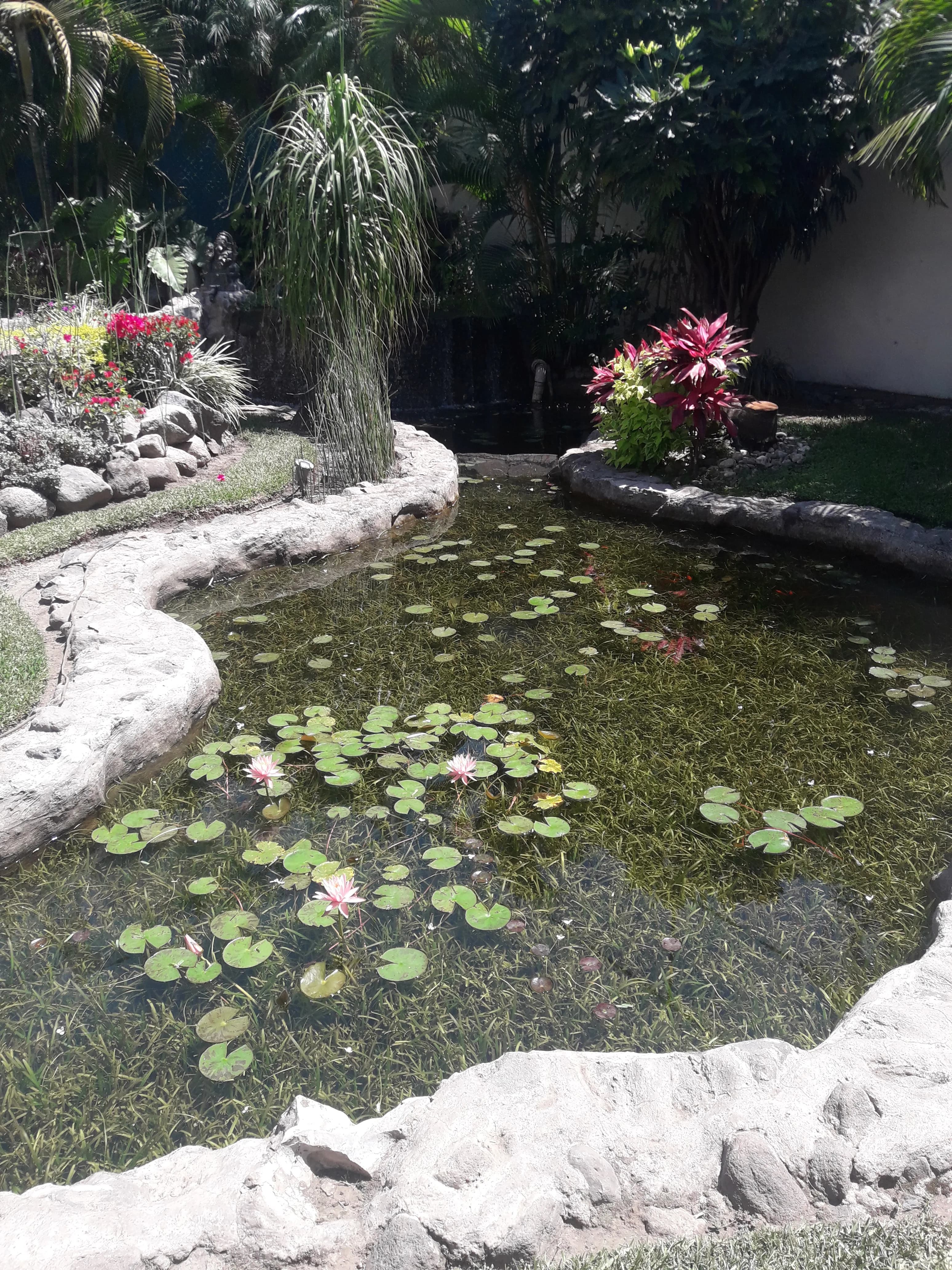 Eco-Small Patio Natural - 8