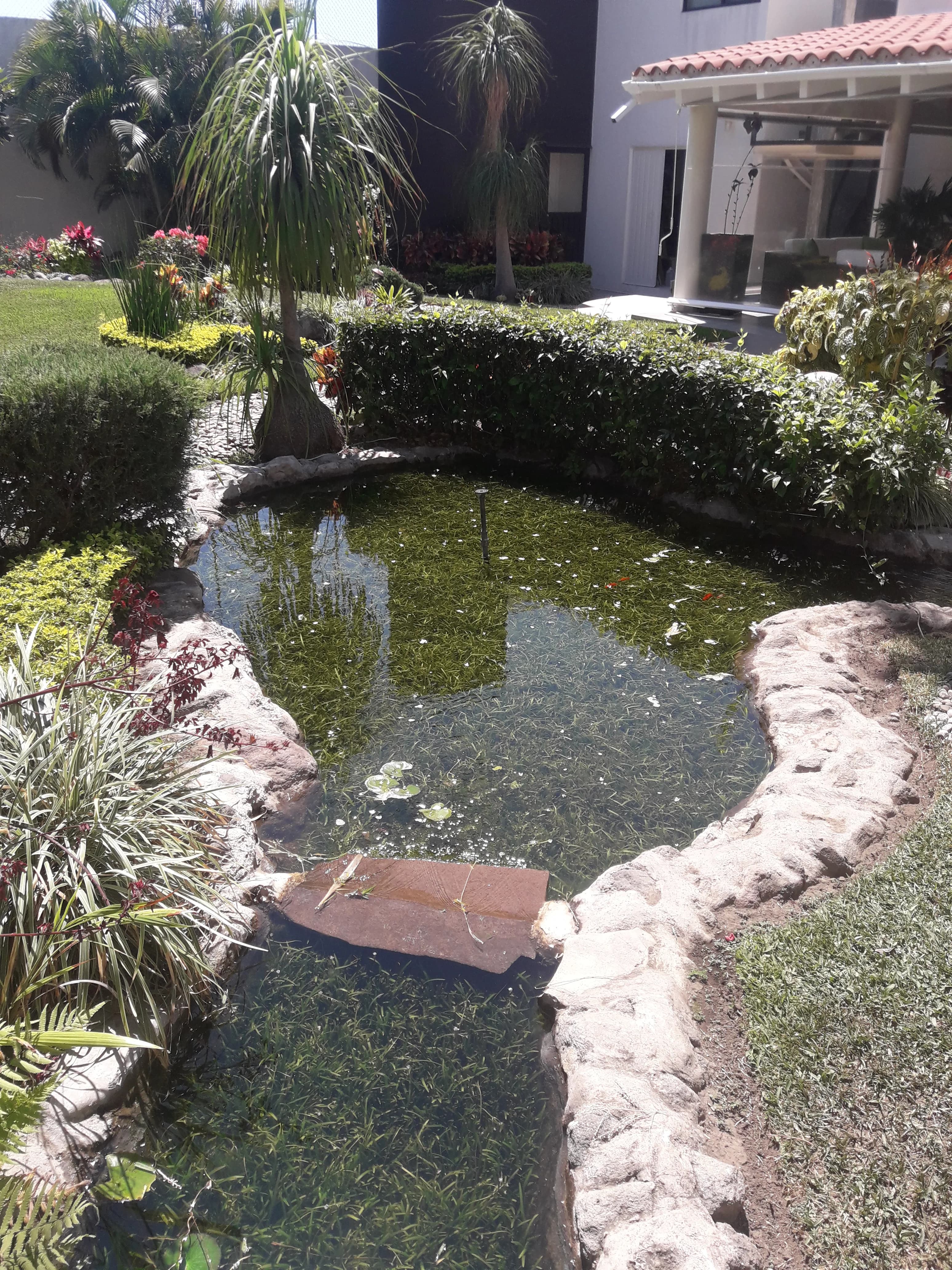 Eco-Small Patio Natural - 10