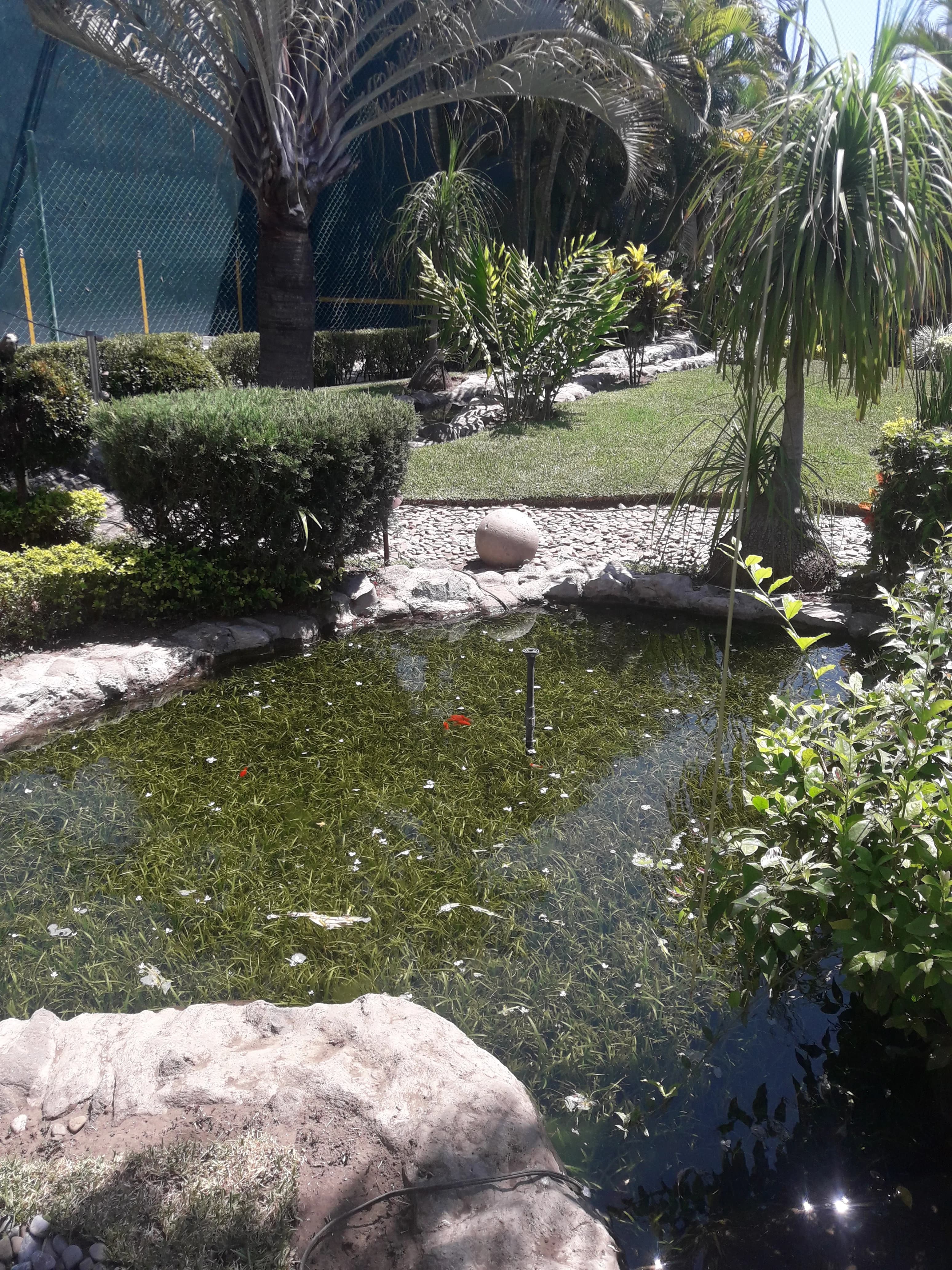 Eco-Small Patio Natural - 12