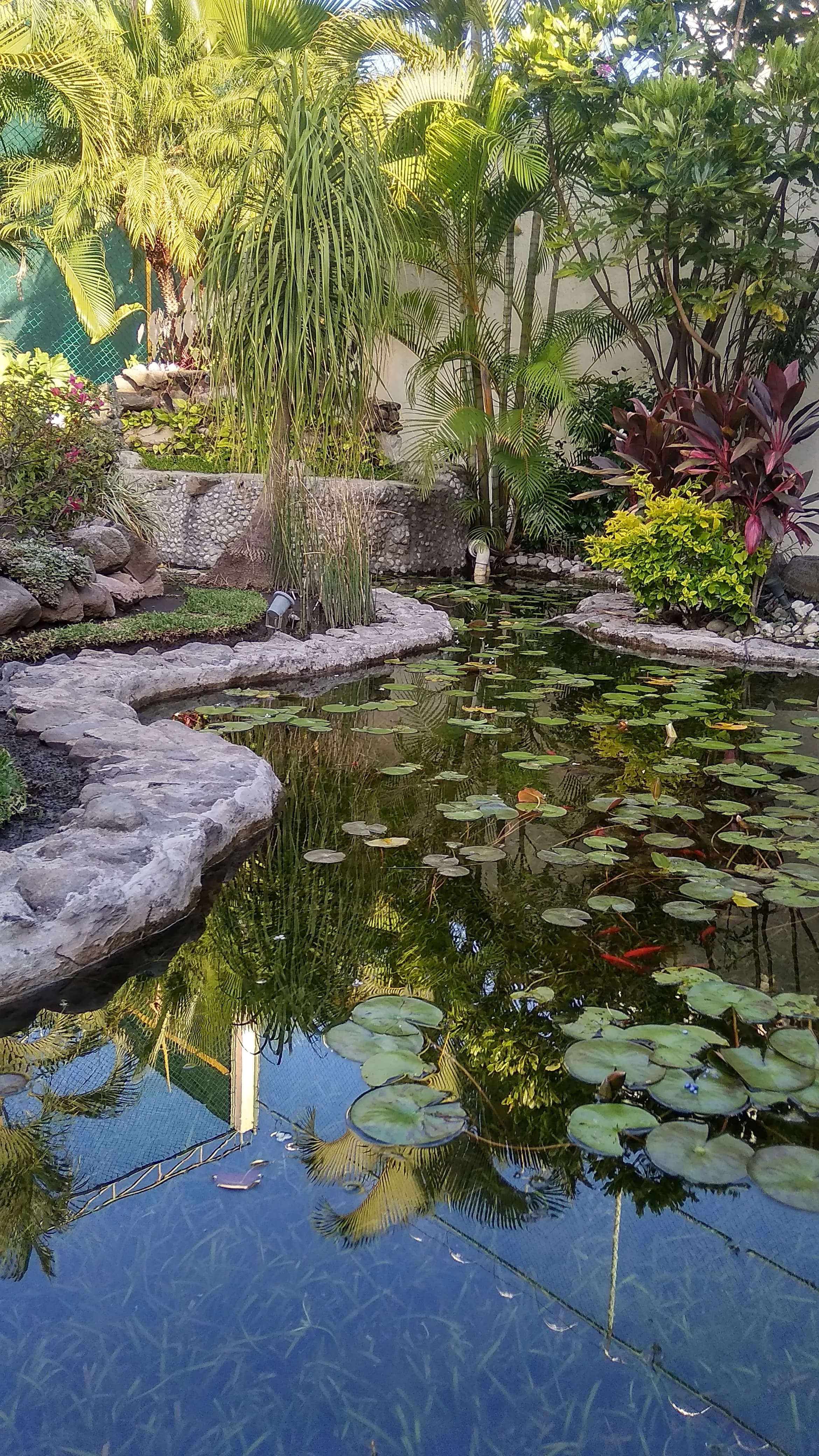 Eco-Small Patio Natural - 14