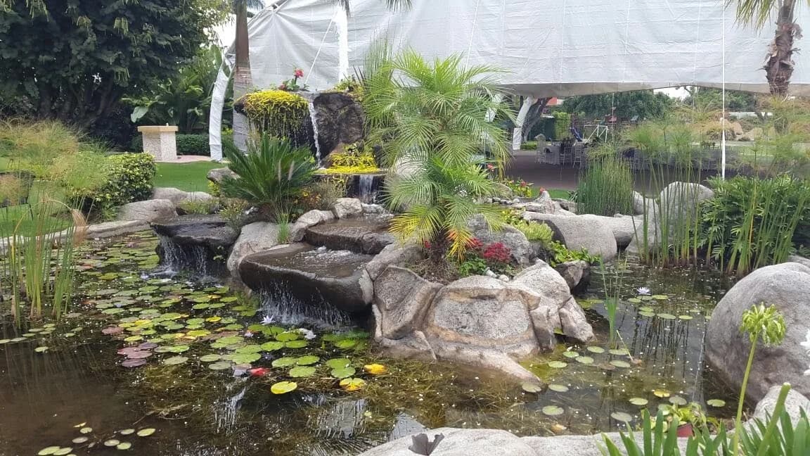 Mini Bioestanque - 2