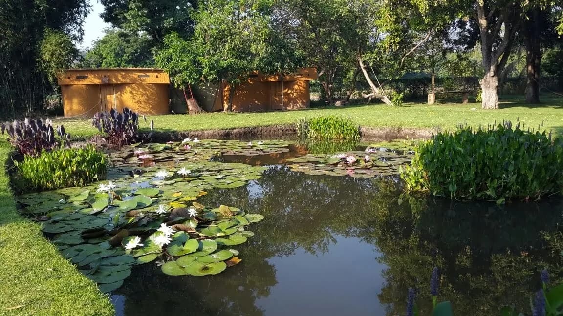 Mini Bioestanque - 5