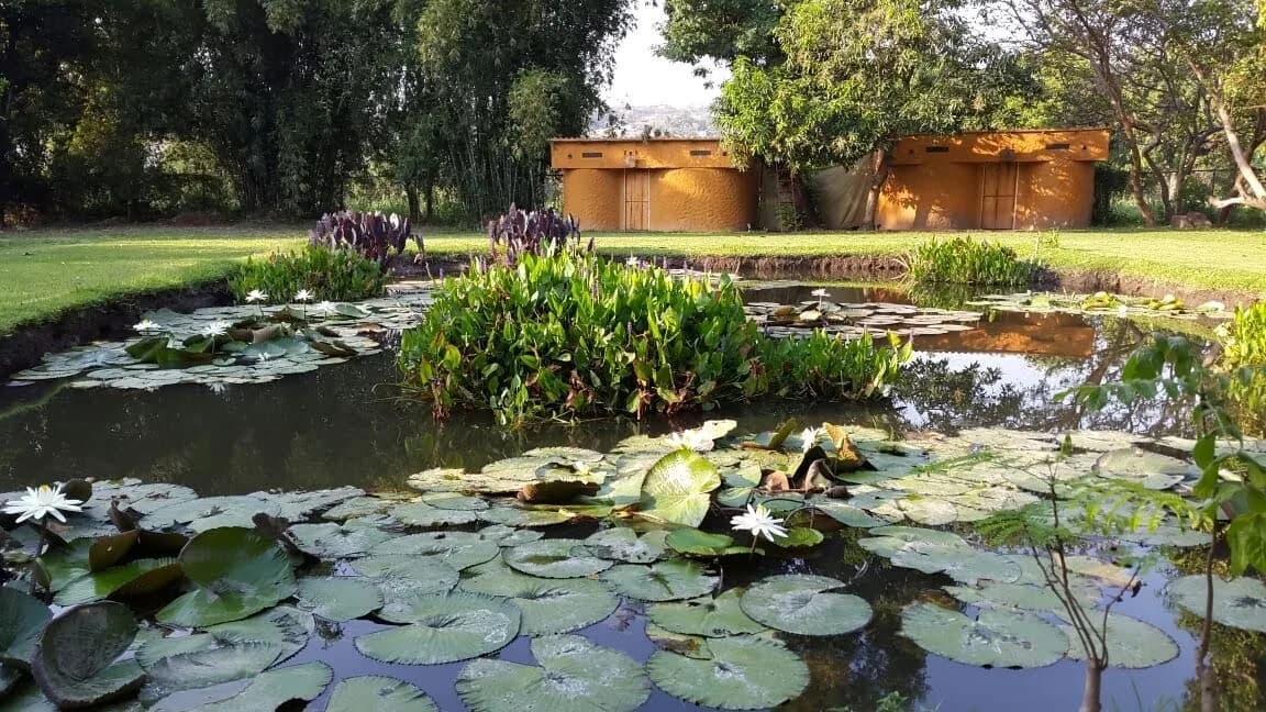 Mini Bioestanque - 8