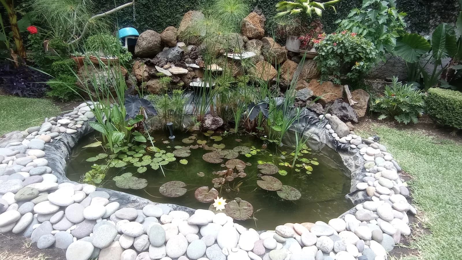 Estanque con cascada lateral