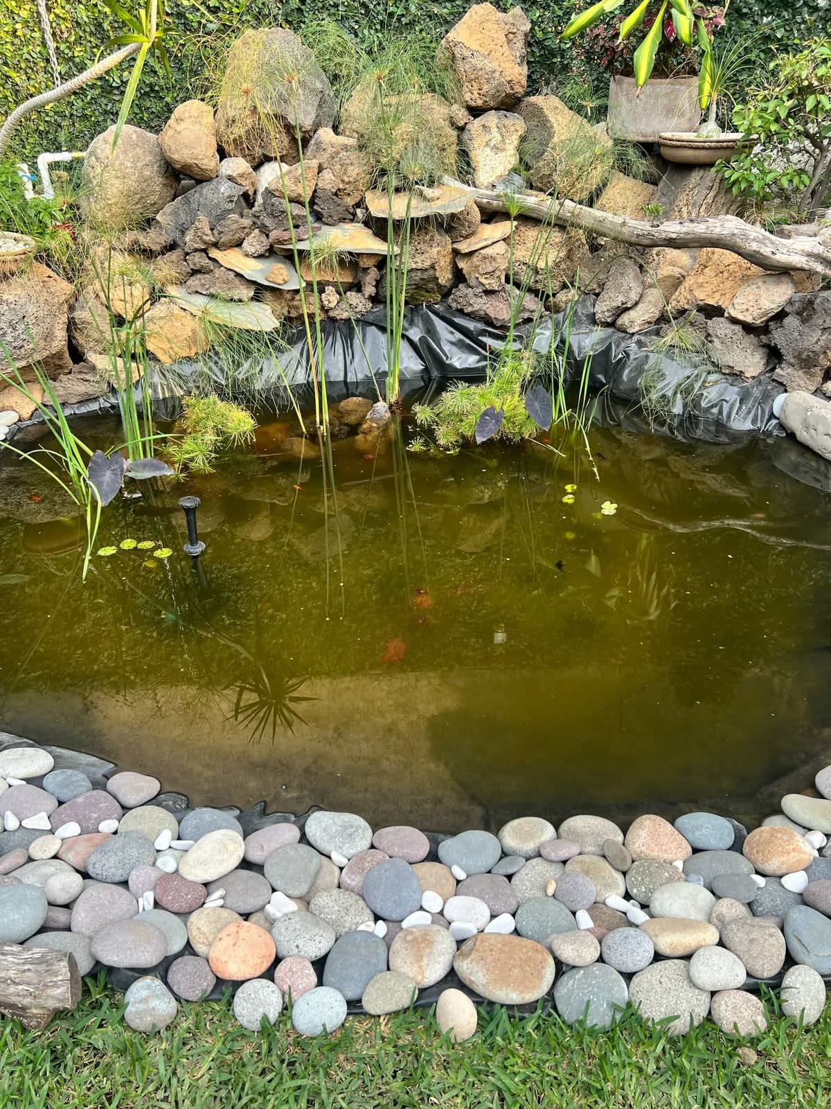 Estanque con cascada lateral - 3