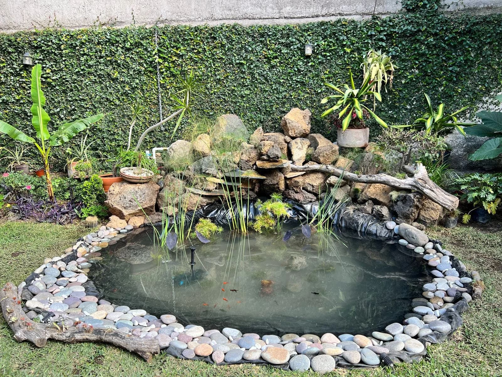 Estanque con cascada lateral - 4