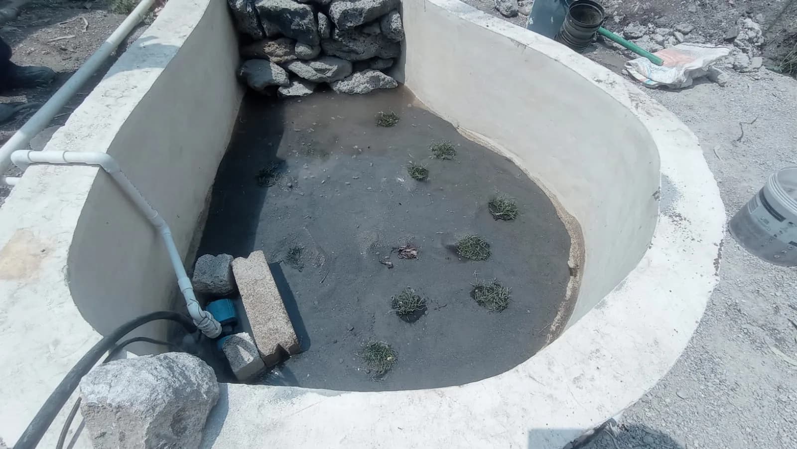 Estanque rectangular con lirios