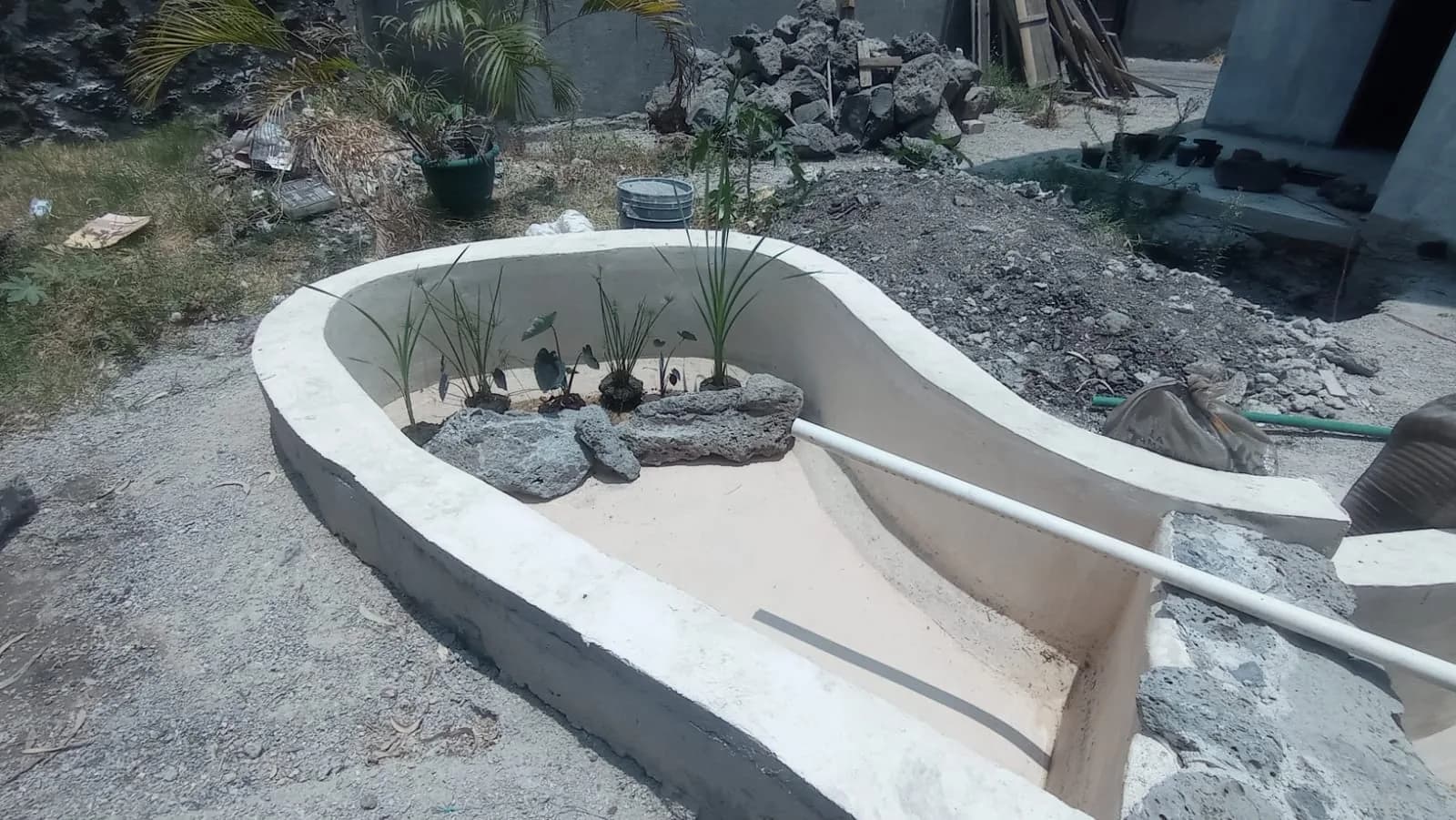 Estanque rectangular con lirios - 2