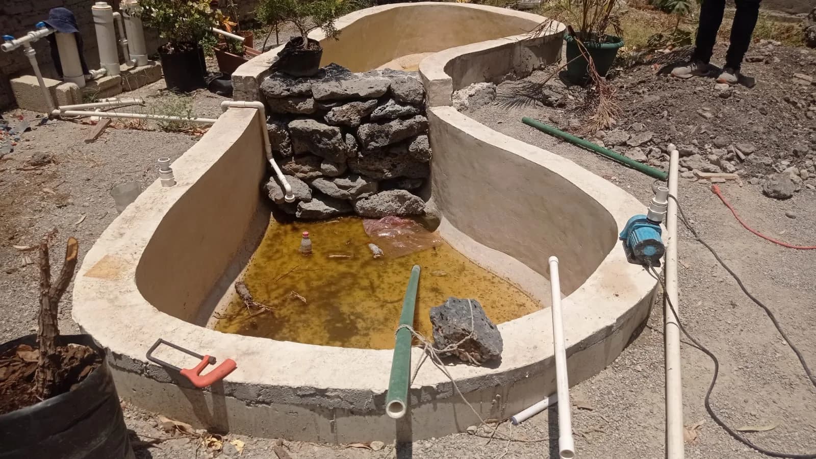 Estanque rectangular con lirios - 3