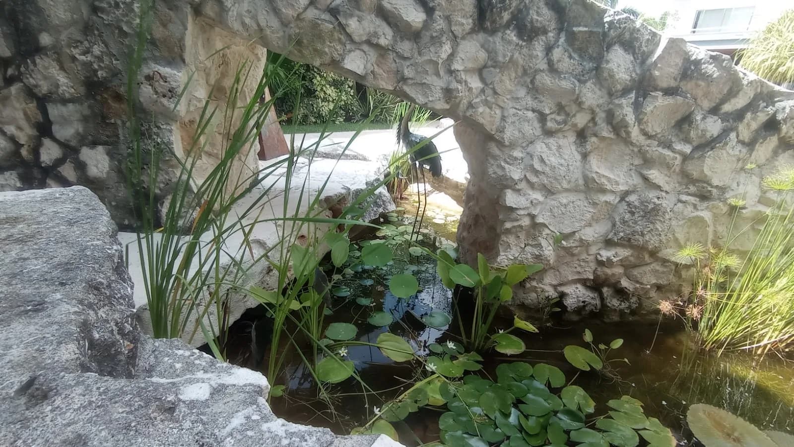 Estanque circular con fuente - 3