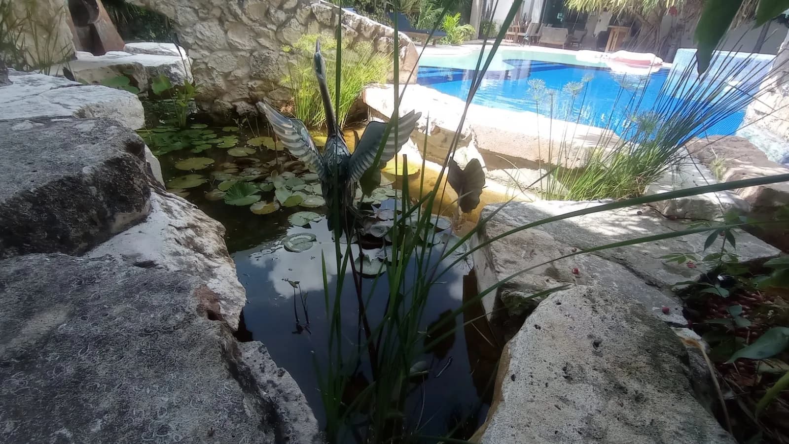 Estanque circular con fuente - 4