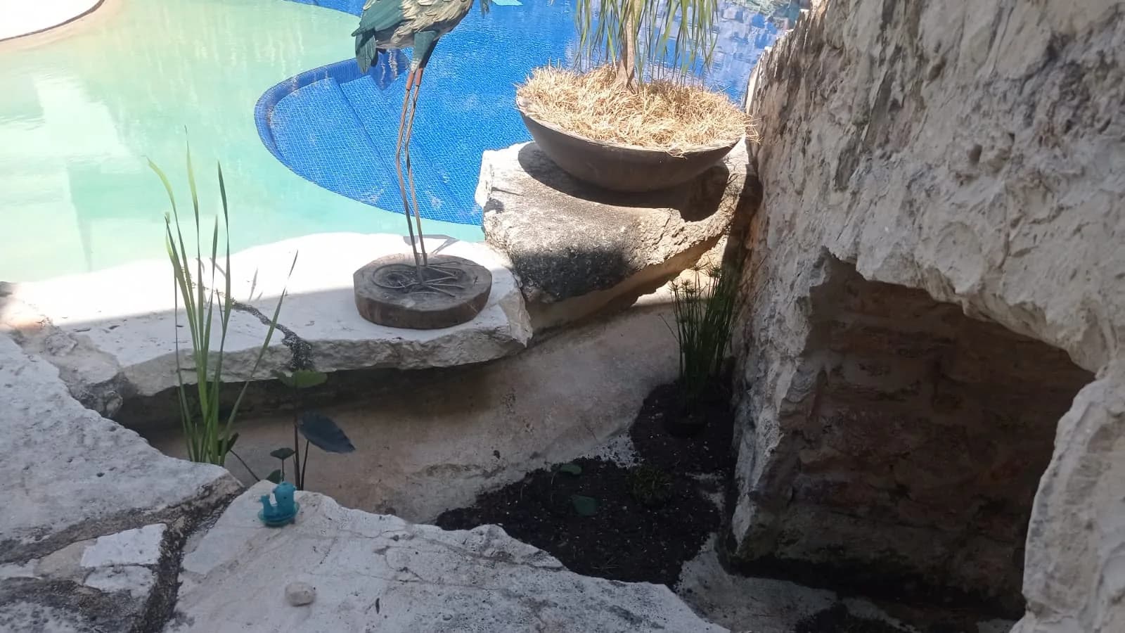 Estanque circular con fuente - 5