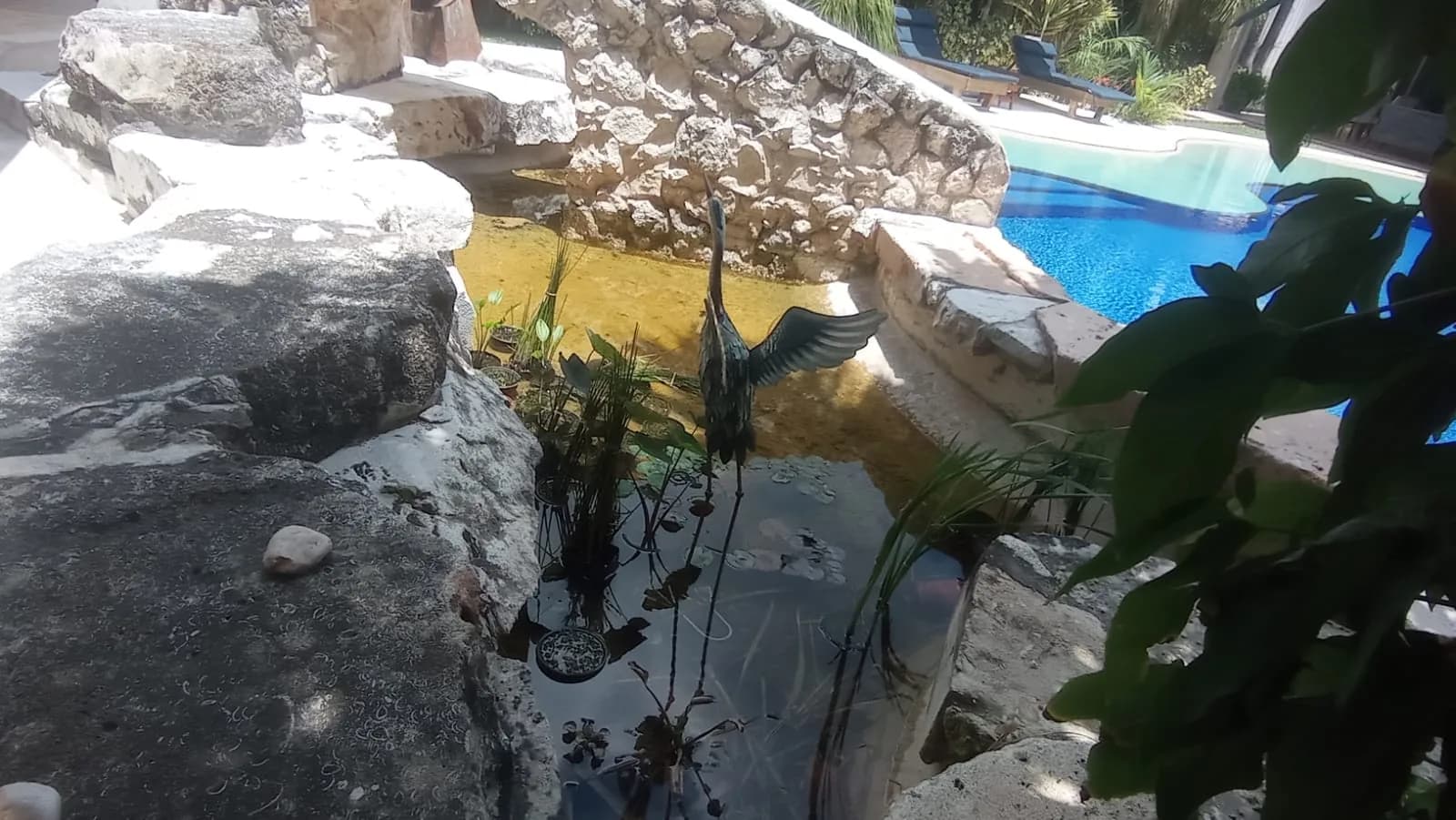 Estanque circular con fuente - 7